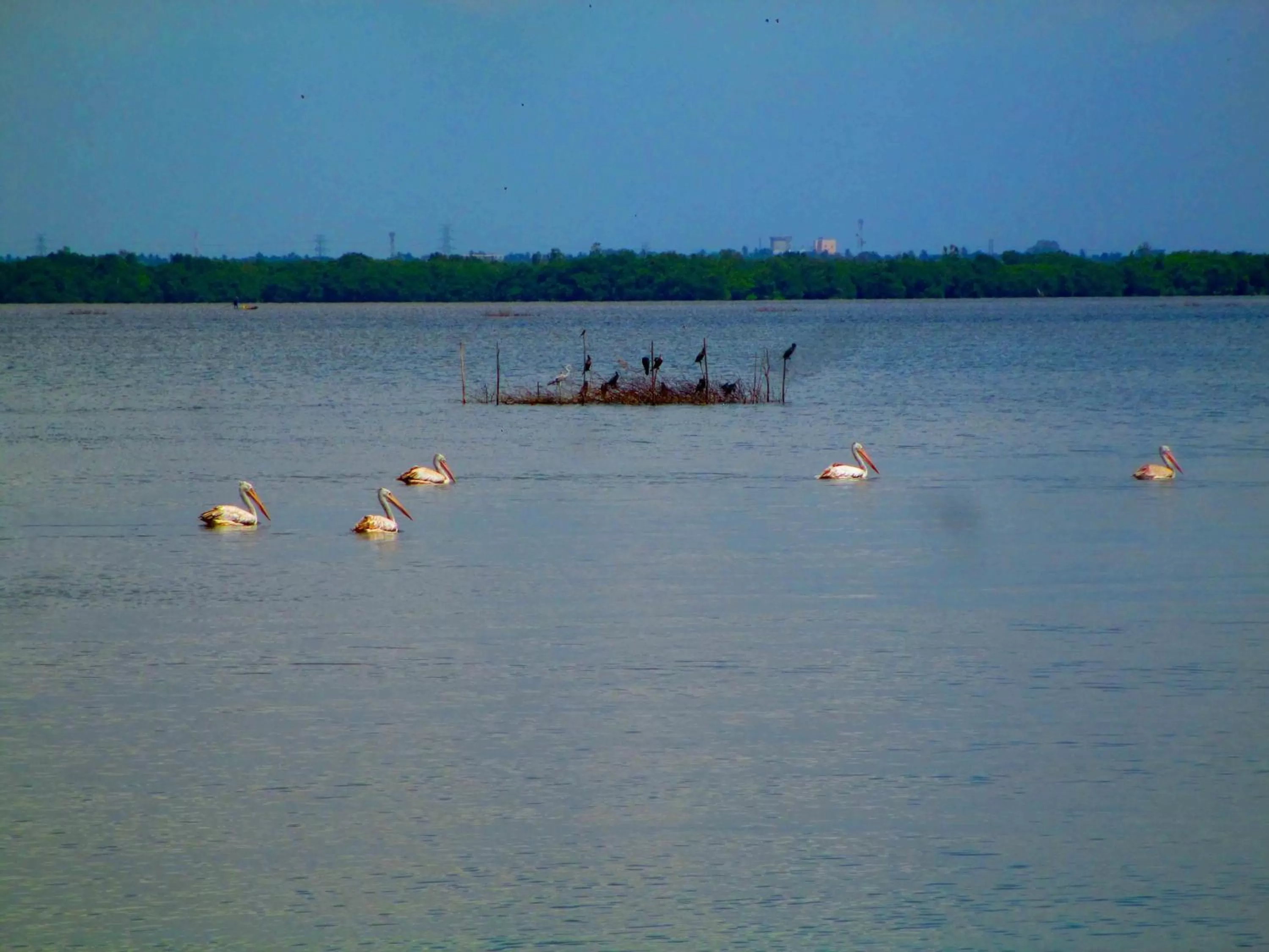 Day in Nico Lagoon Hotel