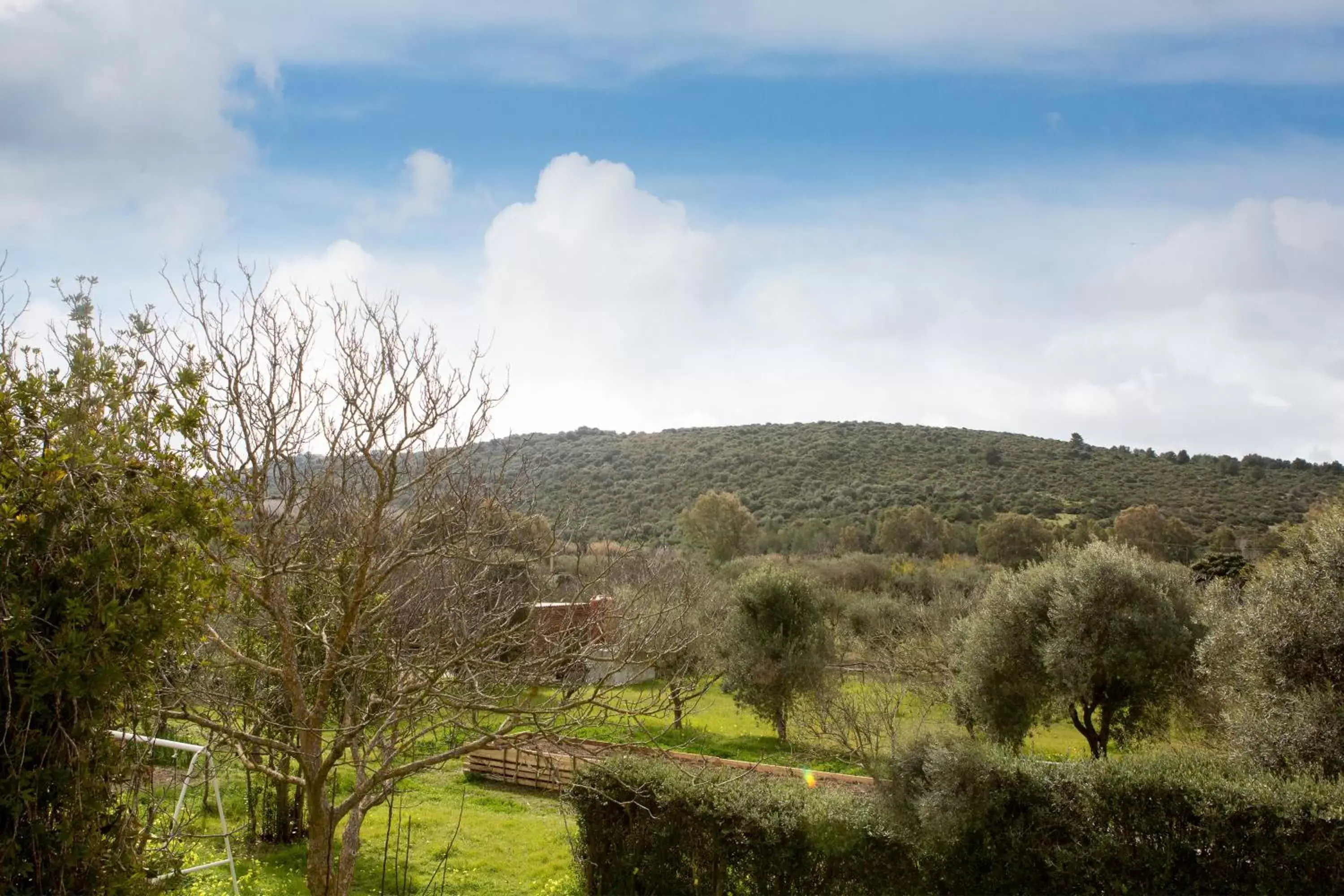 Natural landscape in Alghero in bicicletta