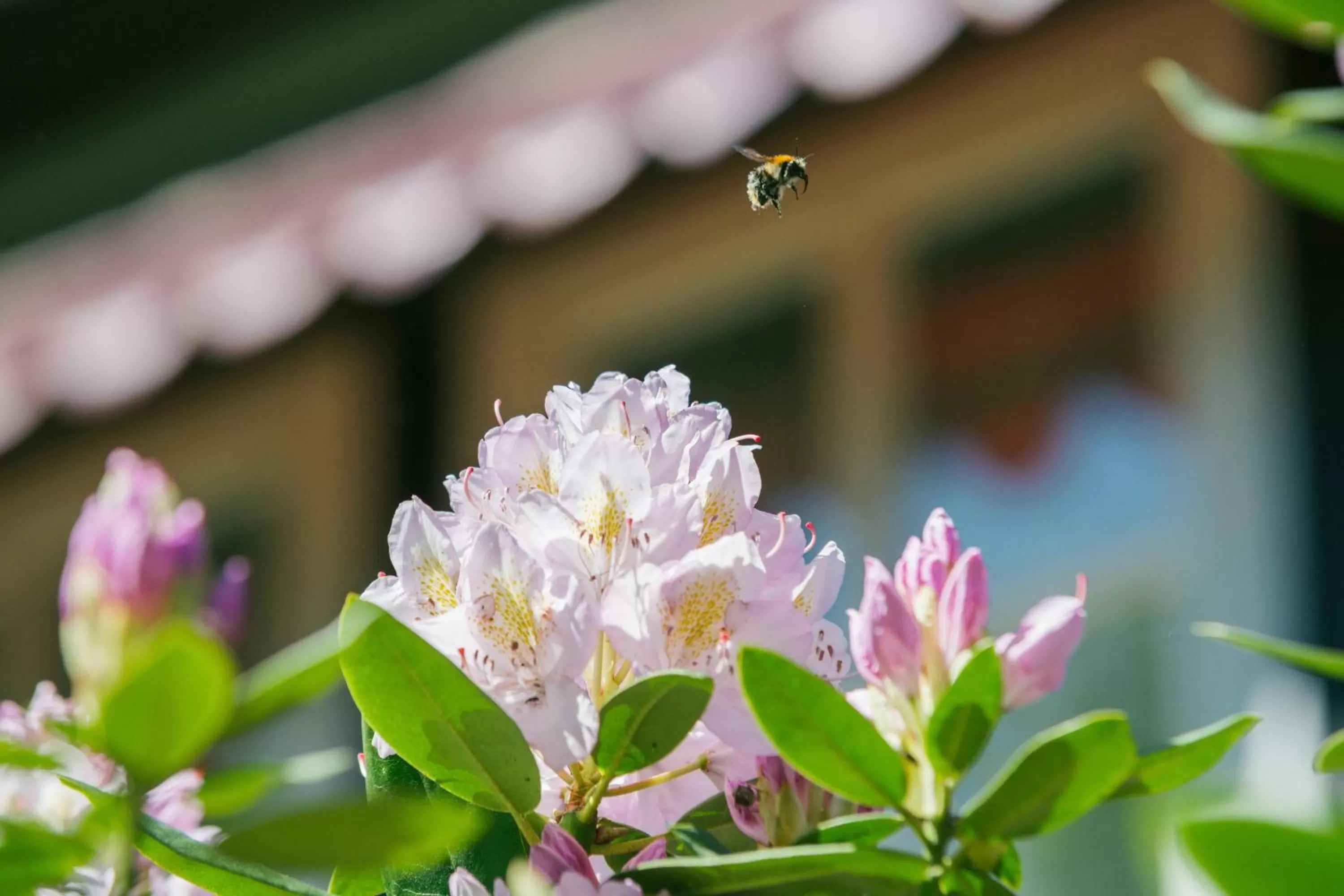 Day in Hotel Landhaus Höpen