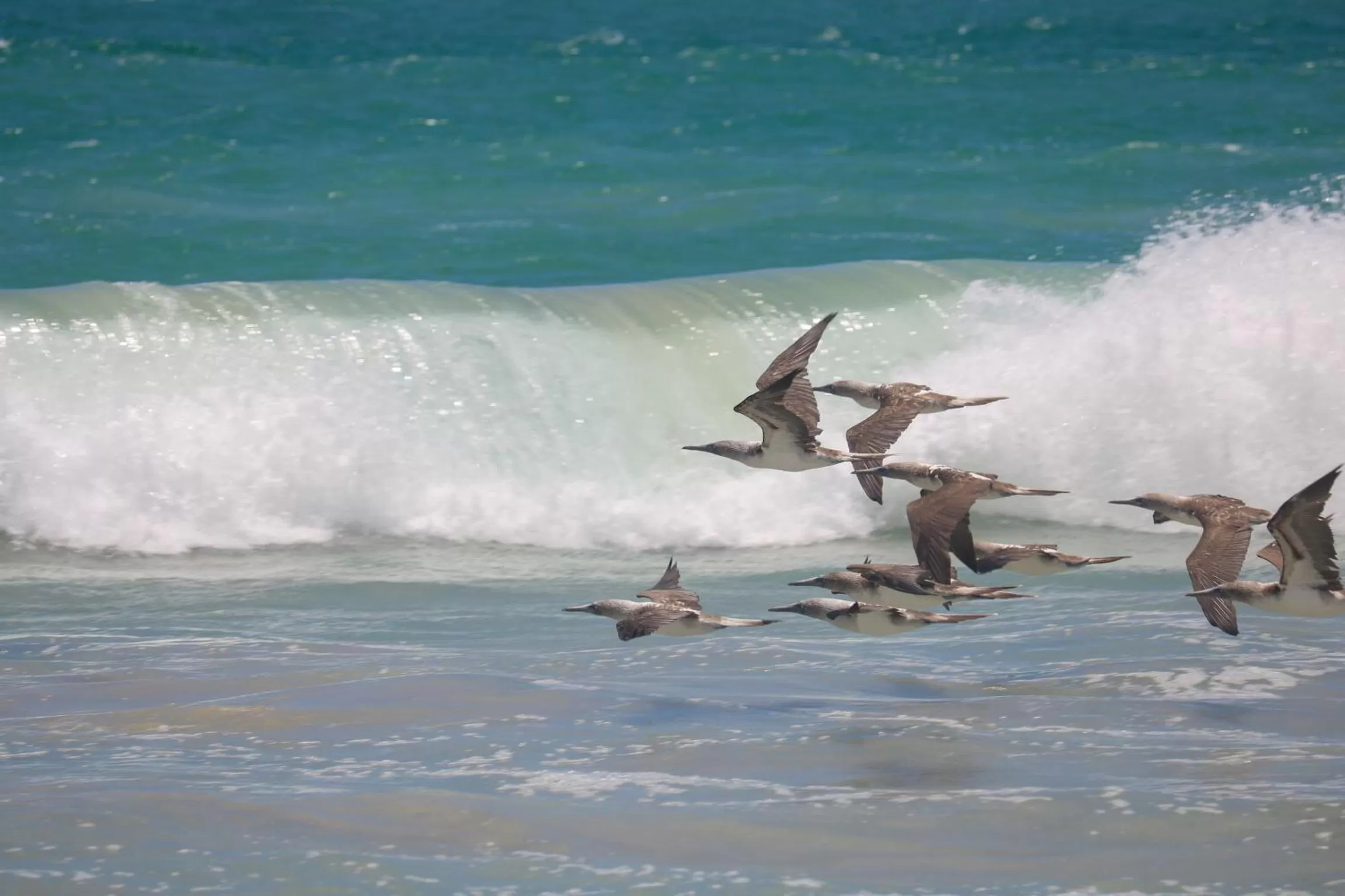Natural landscape in Hostal Galapagos by Bar de Beto