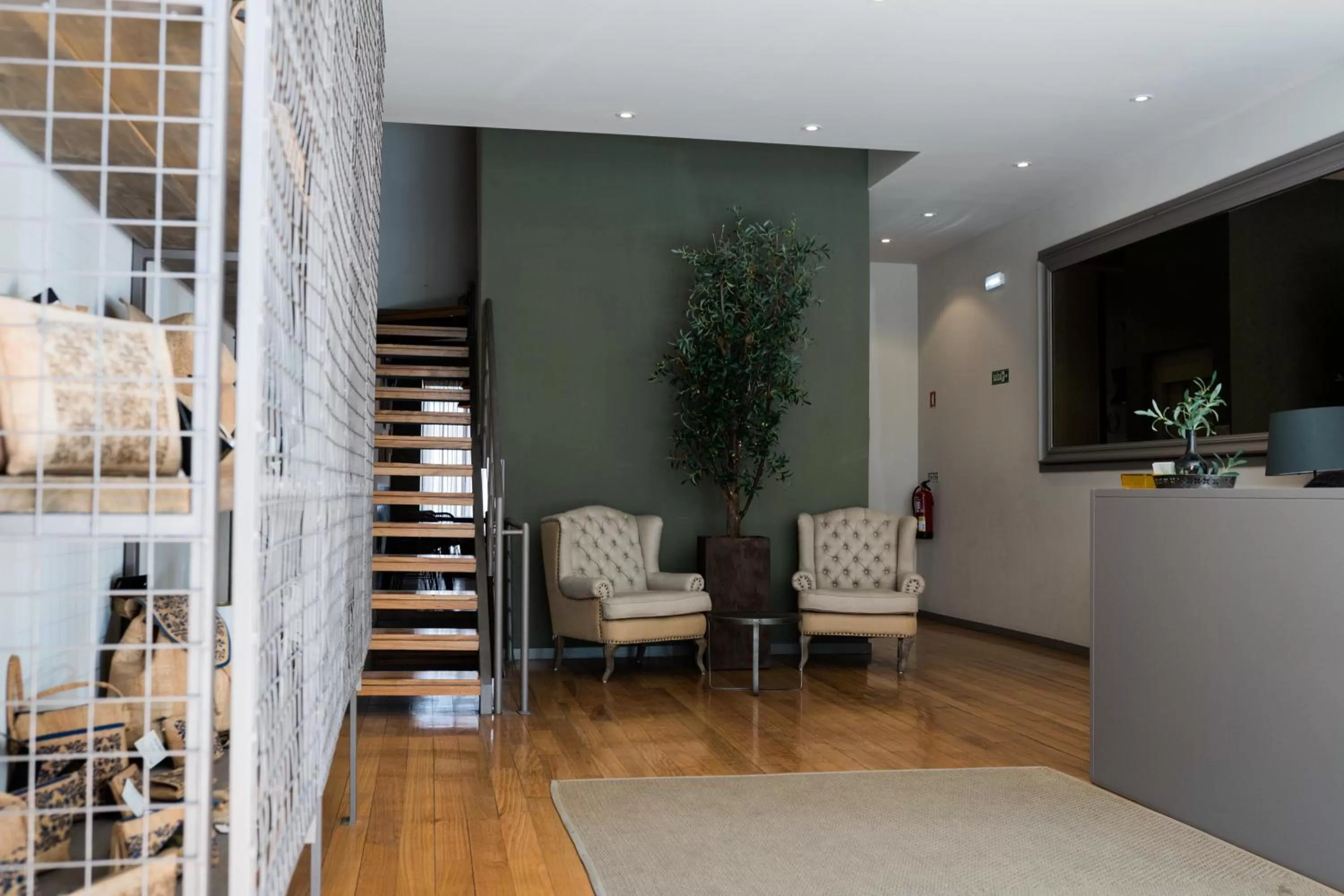 Olive Nature – Tourism Apartments