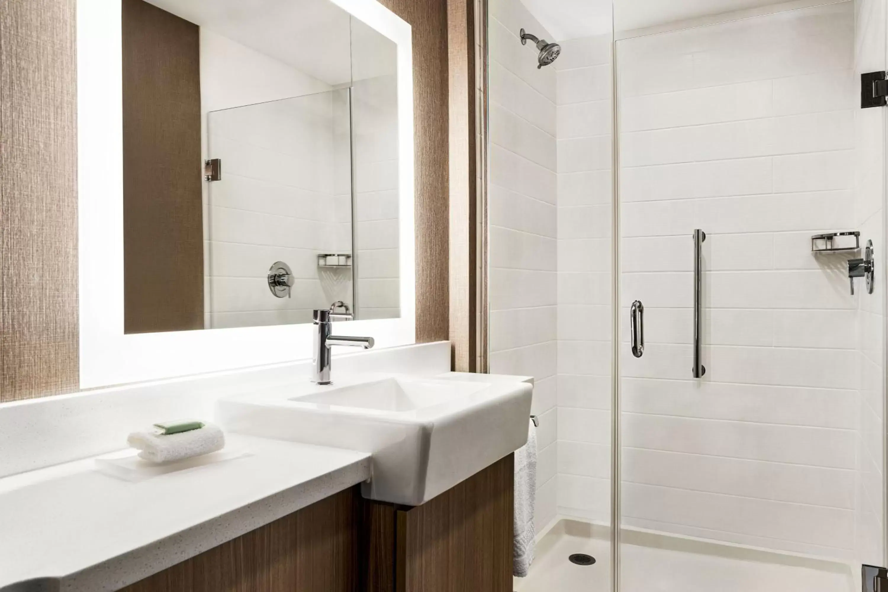 Bathroom in SpringHill Suites by Marriott Camp Hill