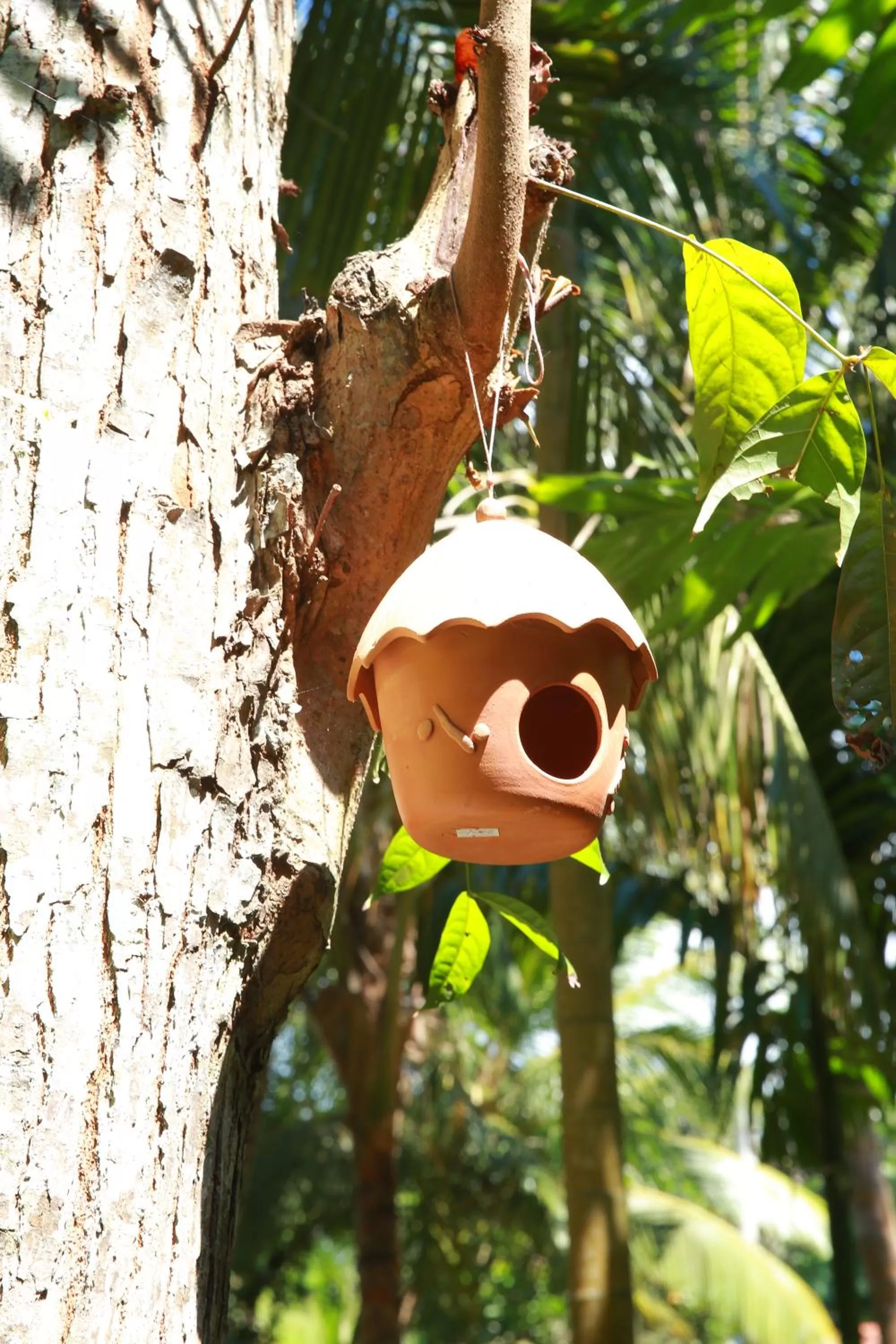 Garden in Limecabanas-srilanka