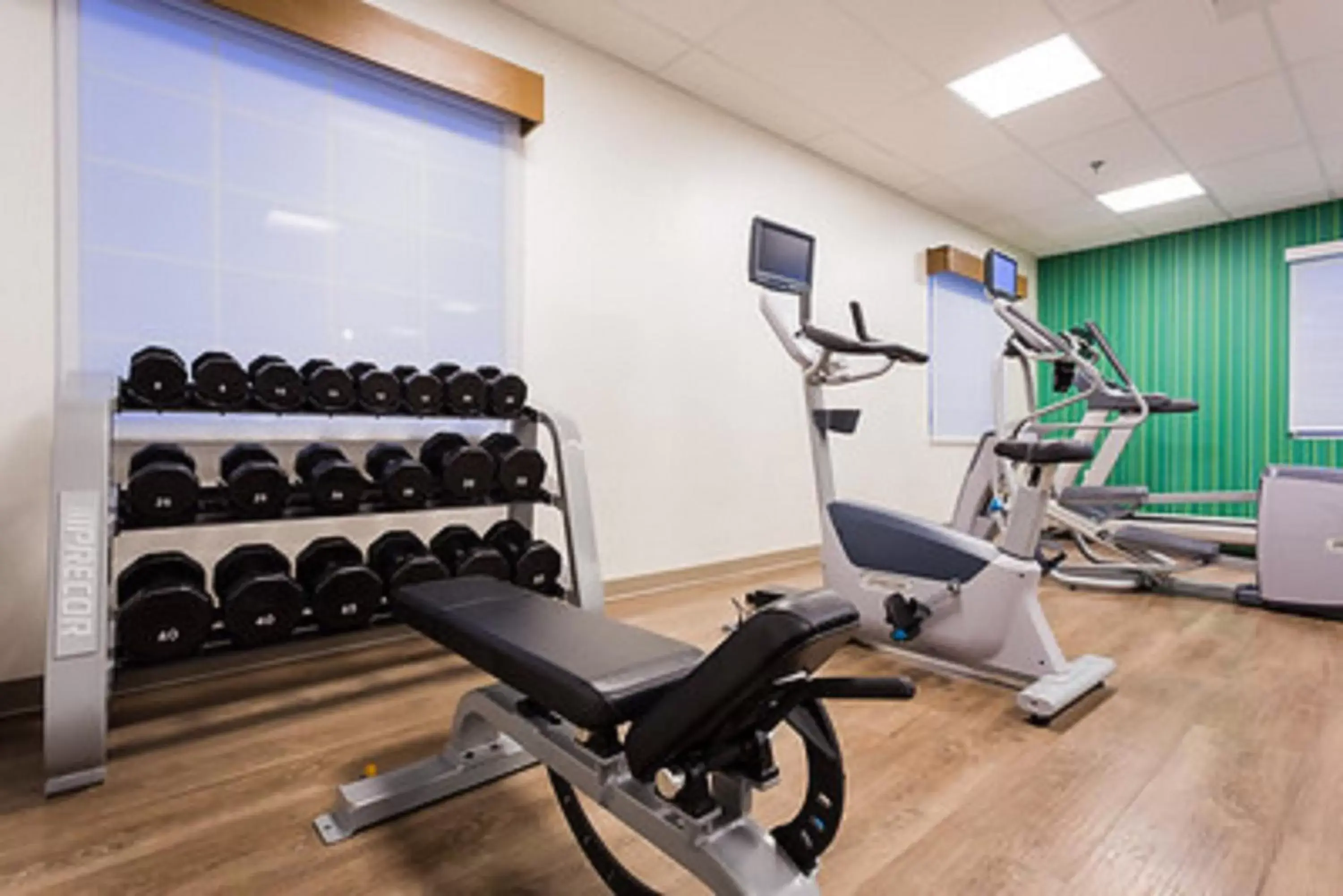 Fitness centre/facilities, Fitness Center/Facilities in Holiday Inn Express Hotel & Suites Reading, an IHG Hotel