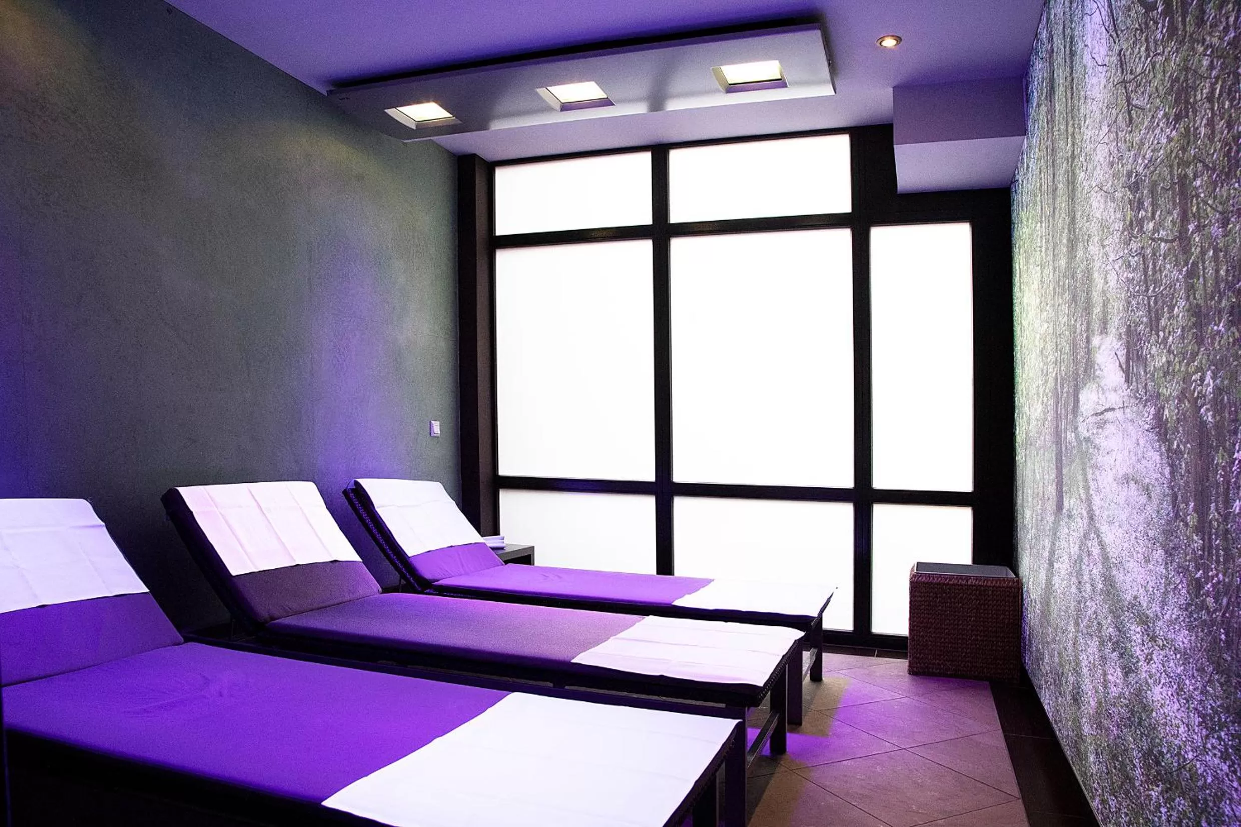 Spa and wellness centre/facilities, Bed in MUNTE - Wellnesshotel am Stadtwald