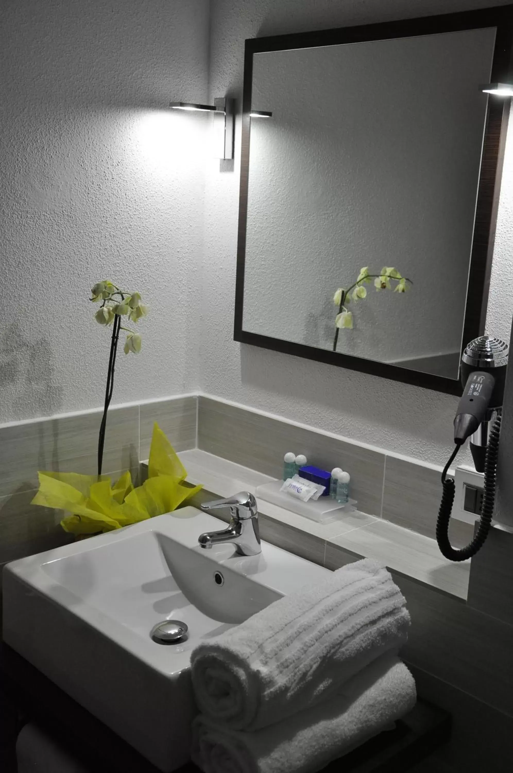 Shower, Bathroom in Hotel Sandalia