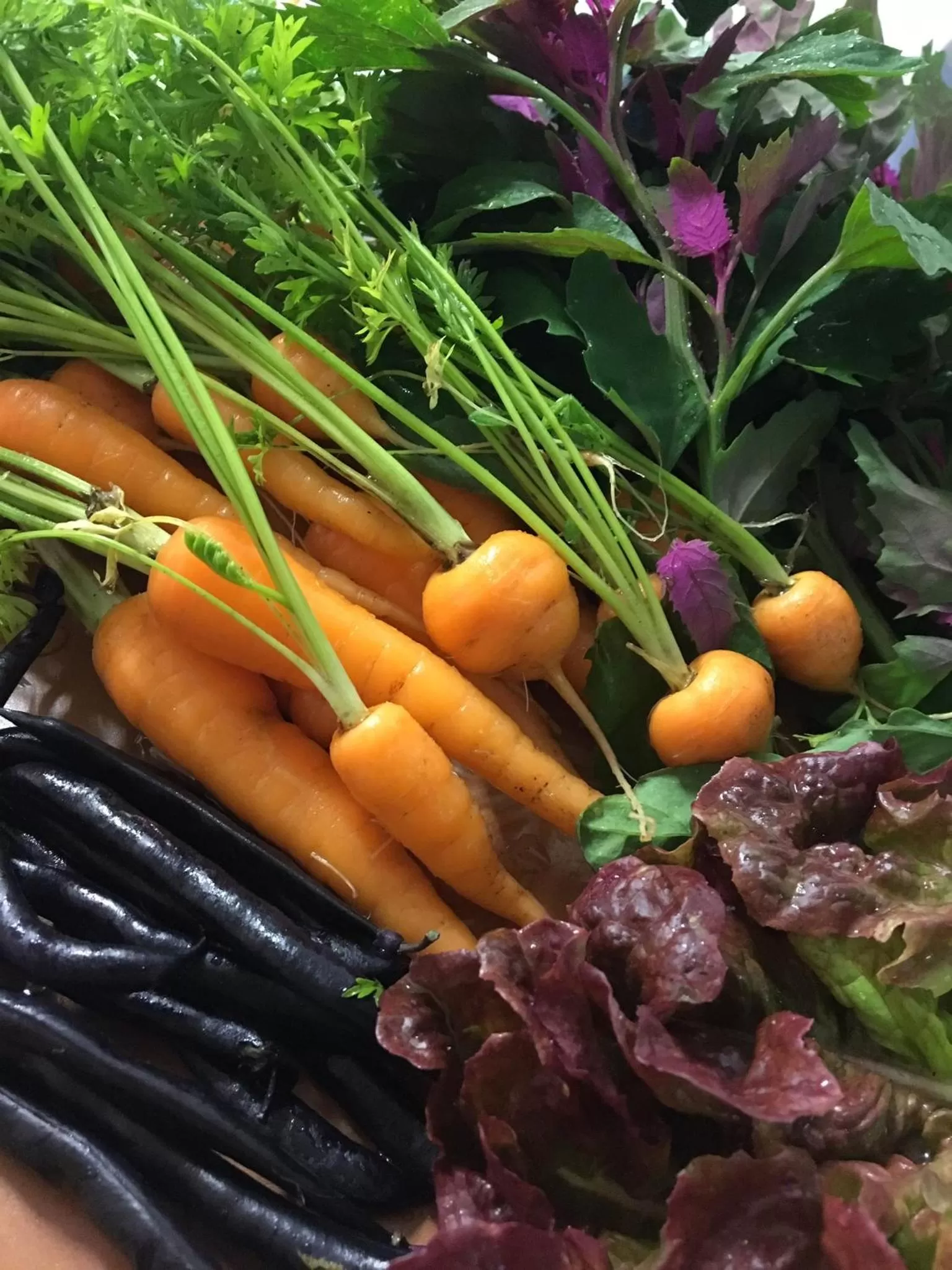 Food and drinks in Tryde 1303 B&B på Österlen