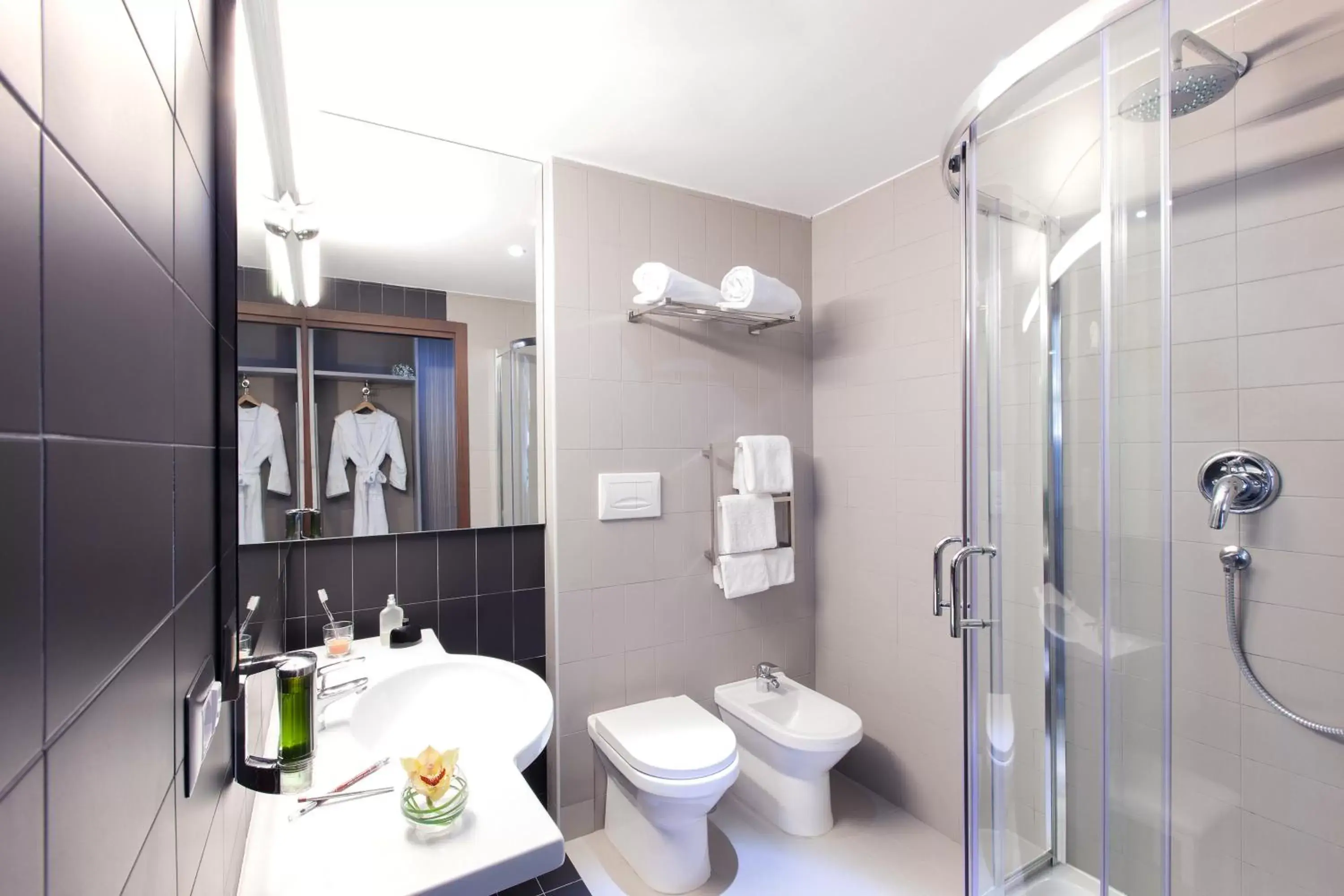 Toilet, Bathroom in Ibis Styles Roma Eur