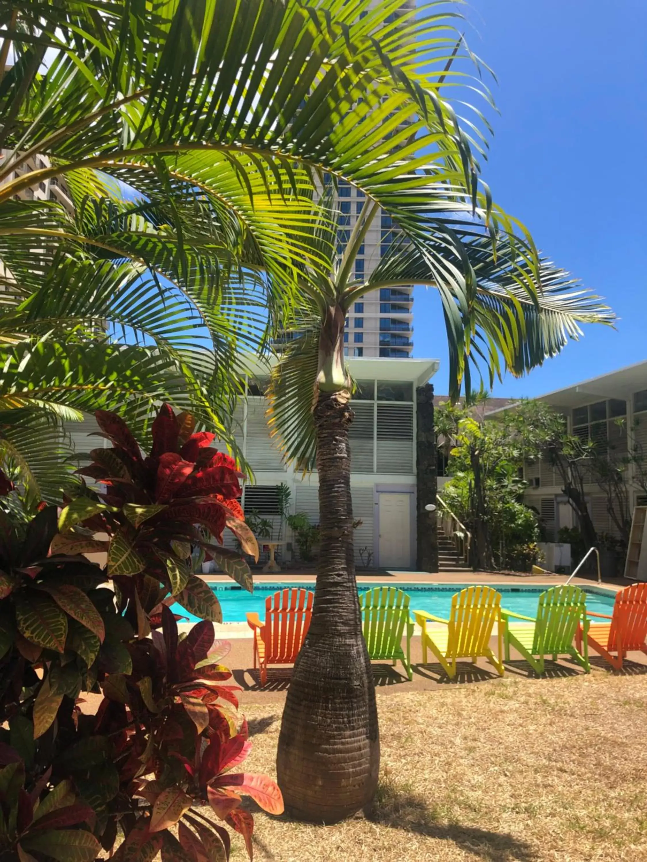 Day, Swimming Pool in Waikiki Heritage Hotel
