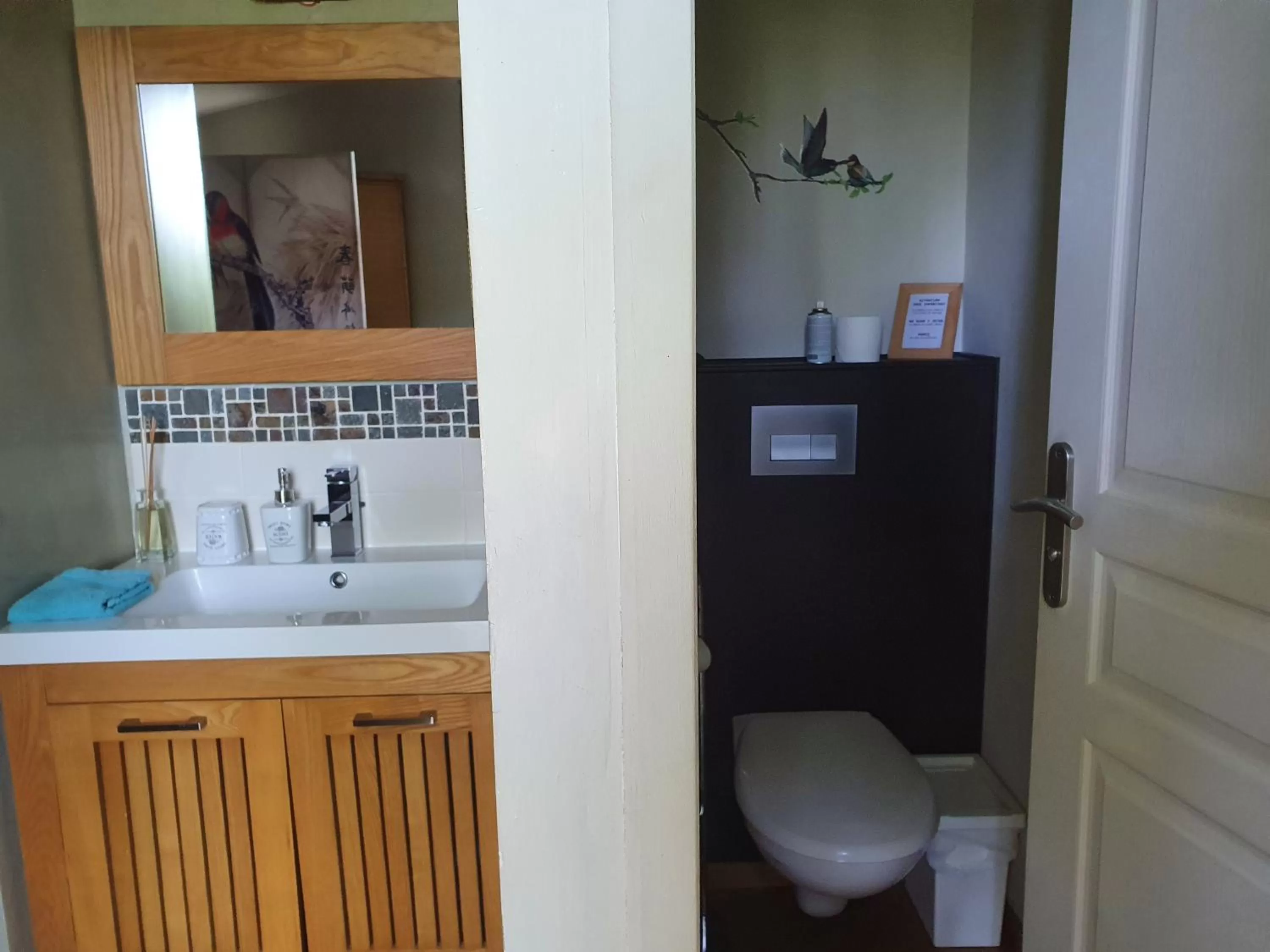 Toilet in Chambres d'hôtes Le Bois Des Frênes