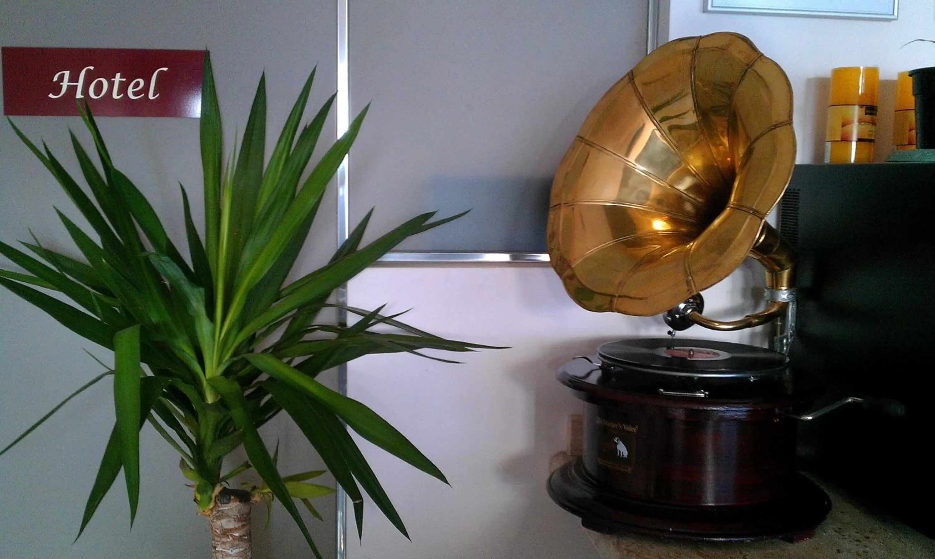 Food in Hotel Ecologico Toral