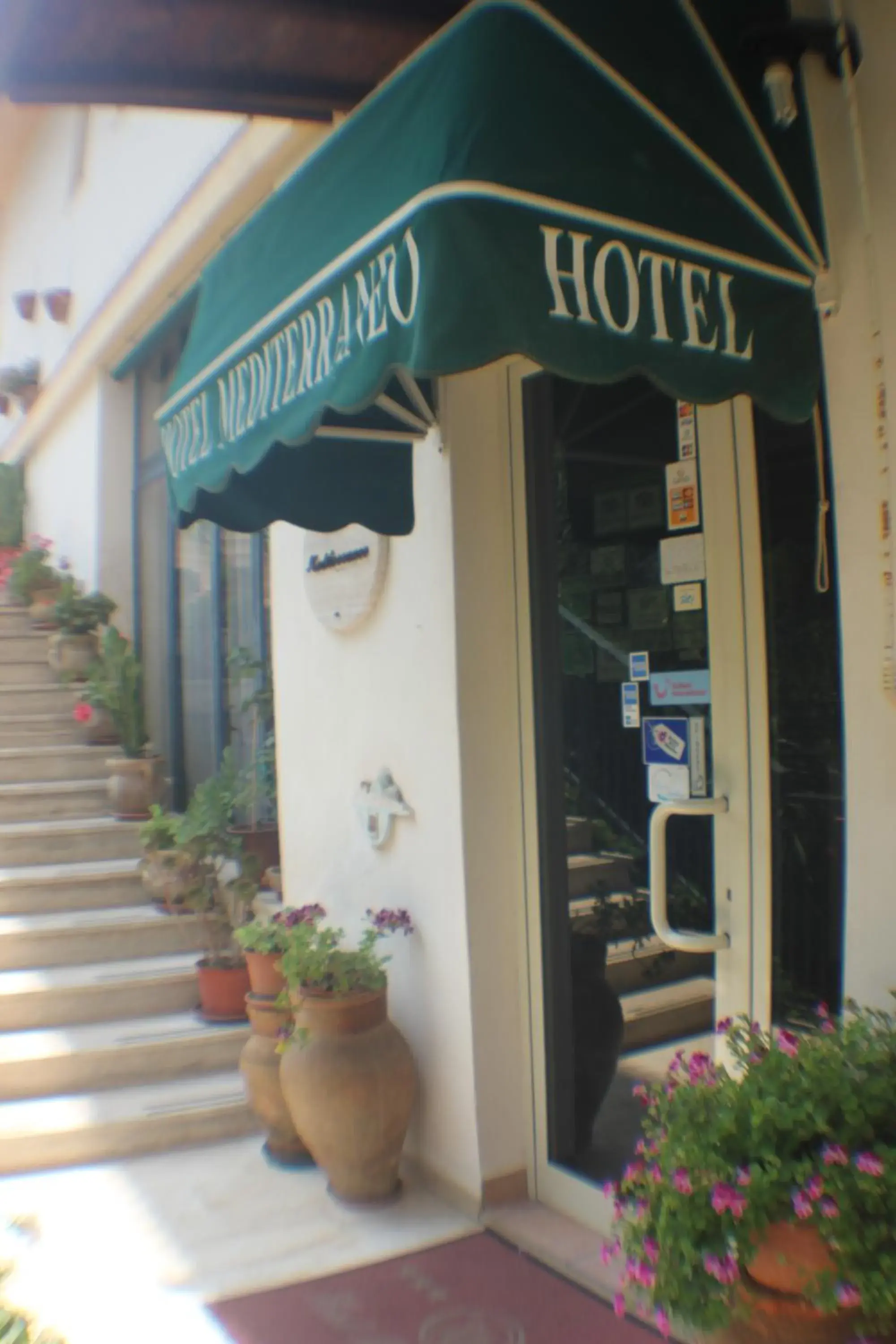 Other, Property Logo/Sign in Hotel Mediterraneo