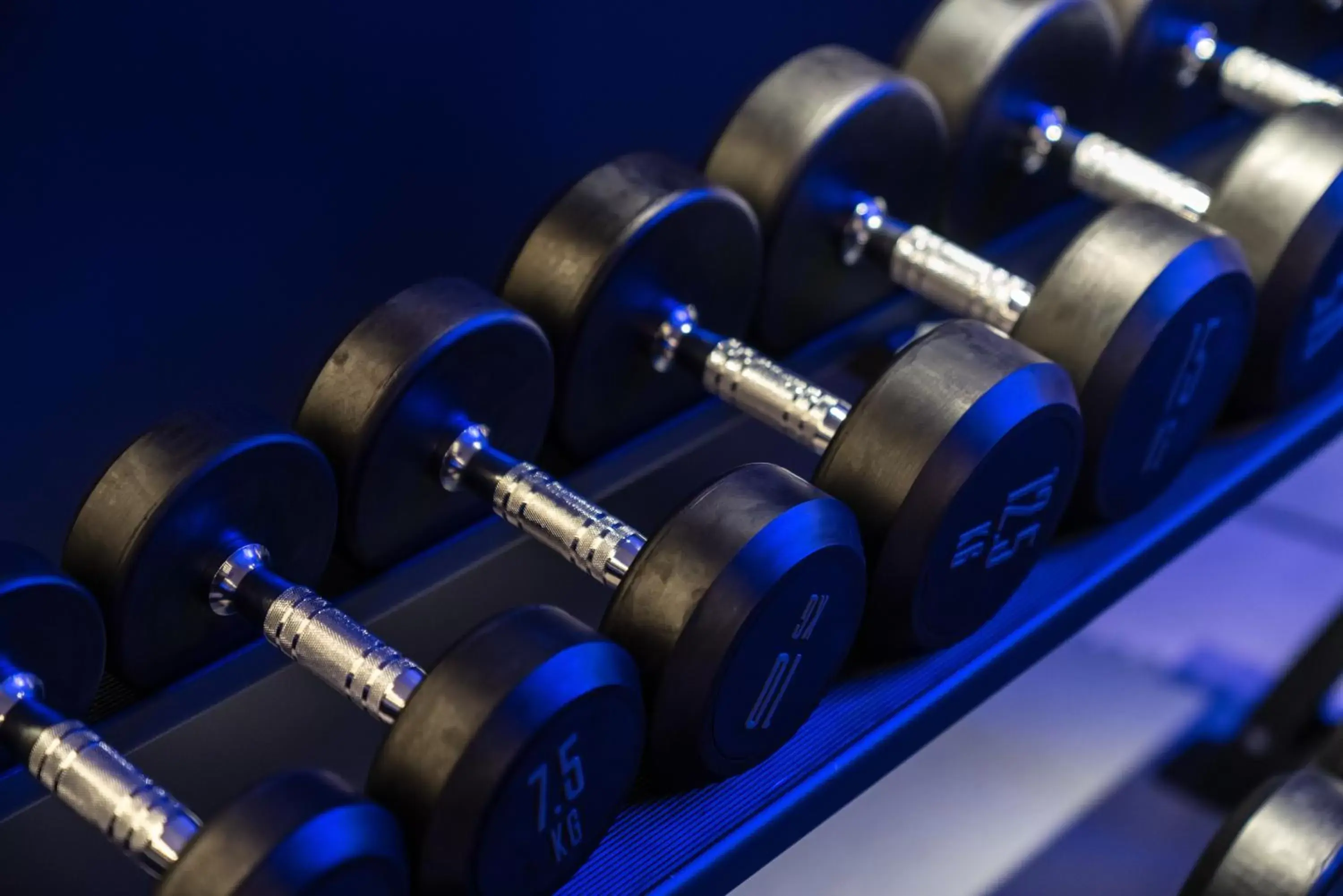 Fitness centre/facilities, Fitness Center/Facilities in Suites Plaza Hotel & Wellness