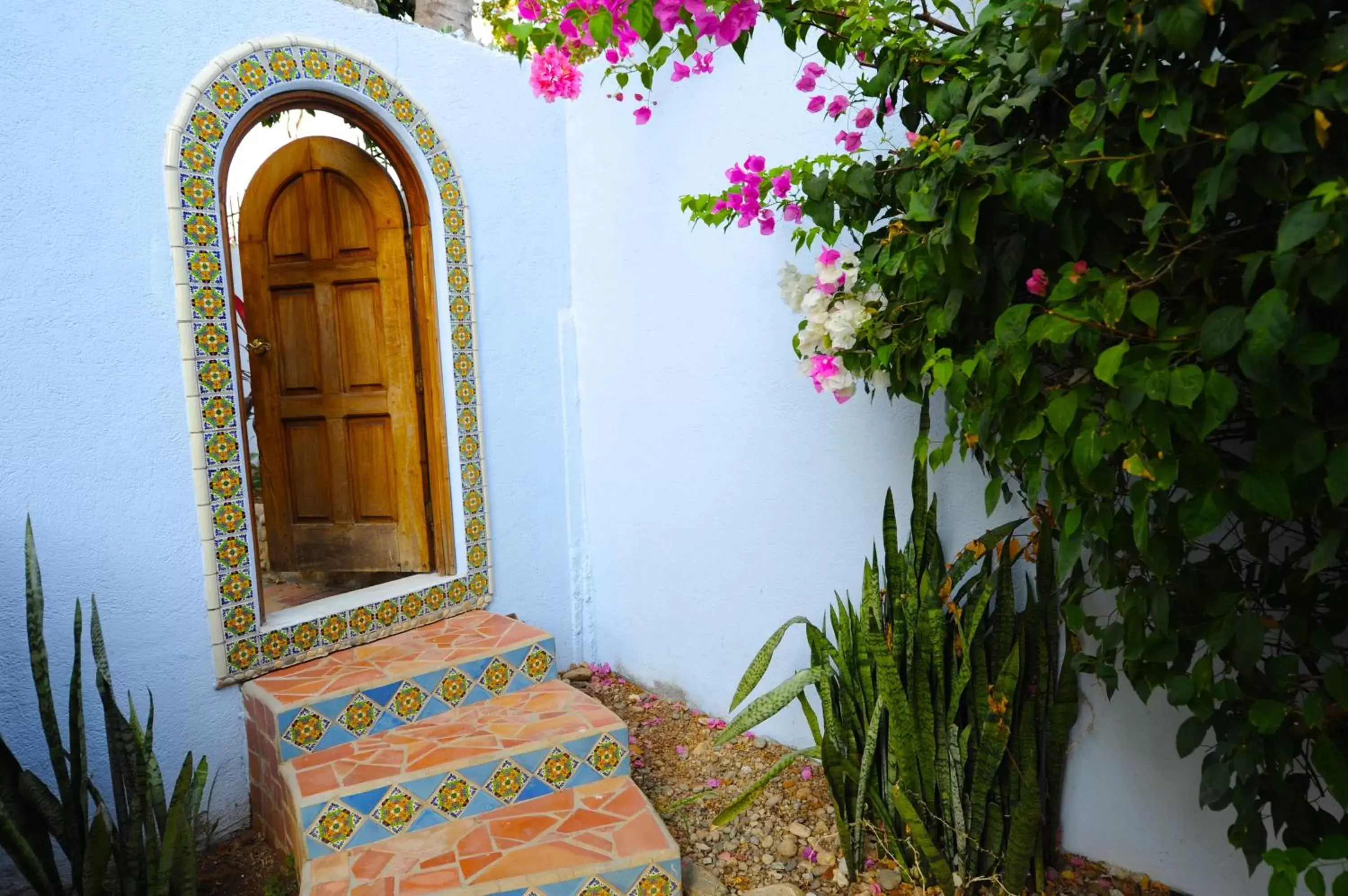 Garden in Hotel Casamar Suites