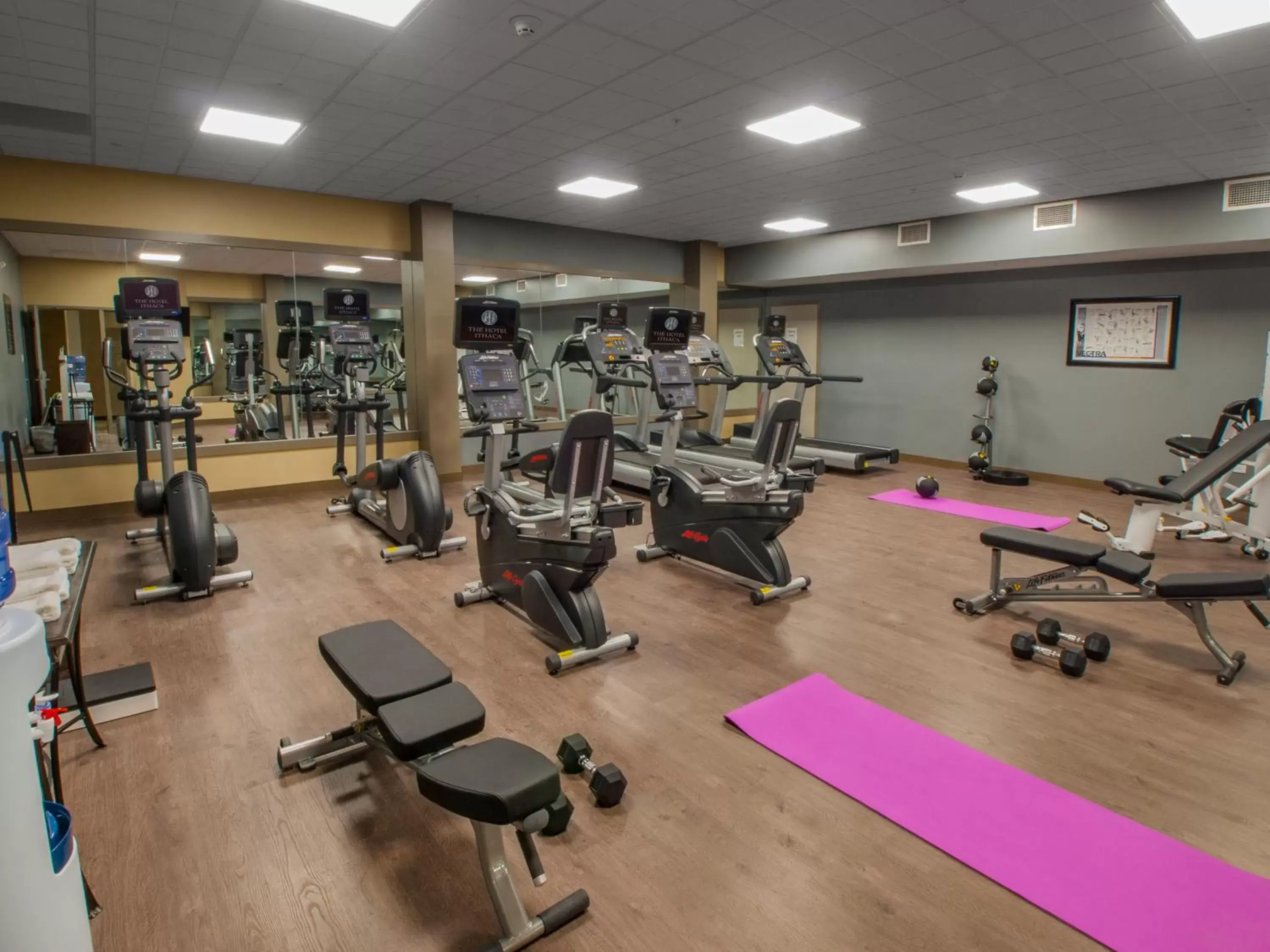 Fitness centre/facilities, Fitness Center/Facilities in Hotel Ithaca