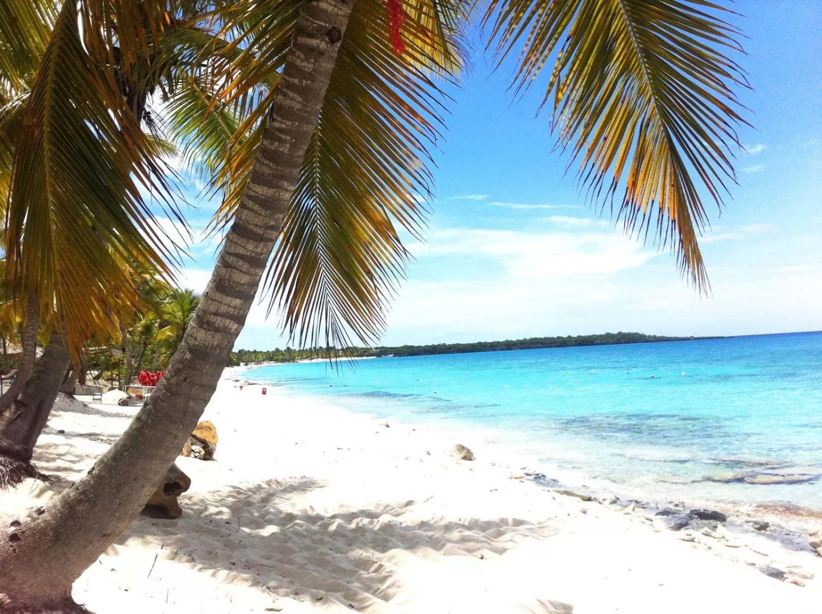 Beach in Hoteles Josefina Las Terrenas