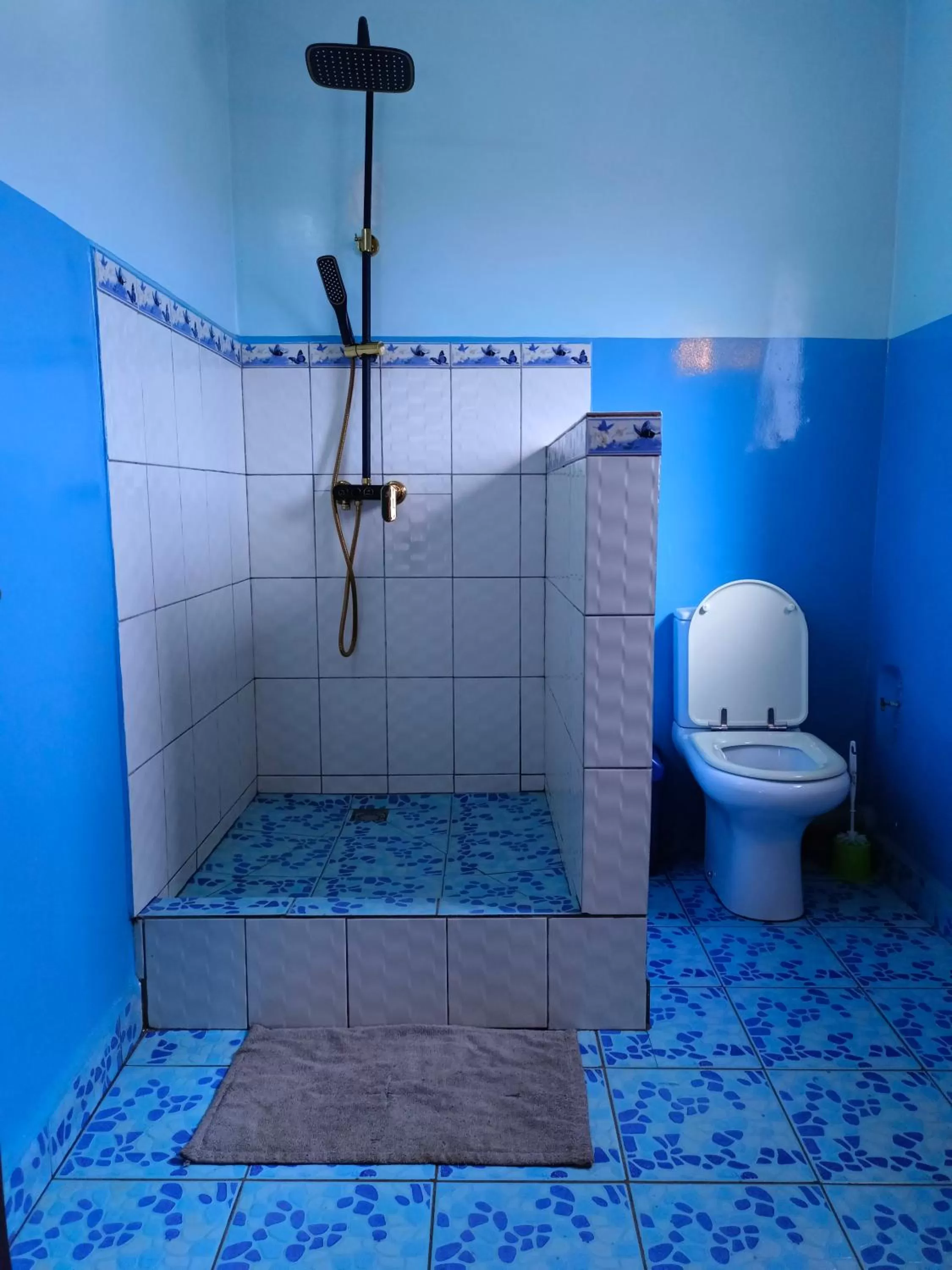 Toilet in Antsirabe Hotel