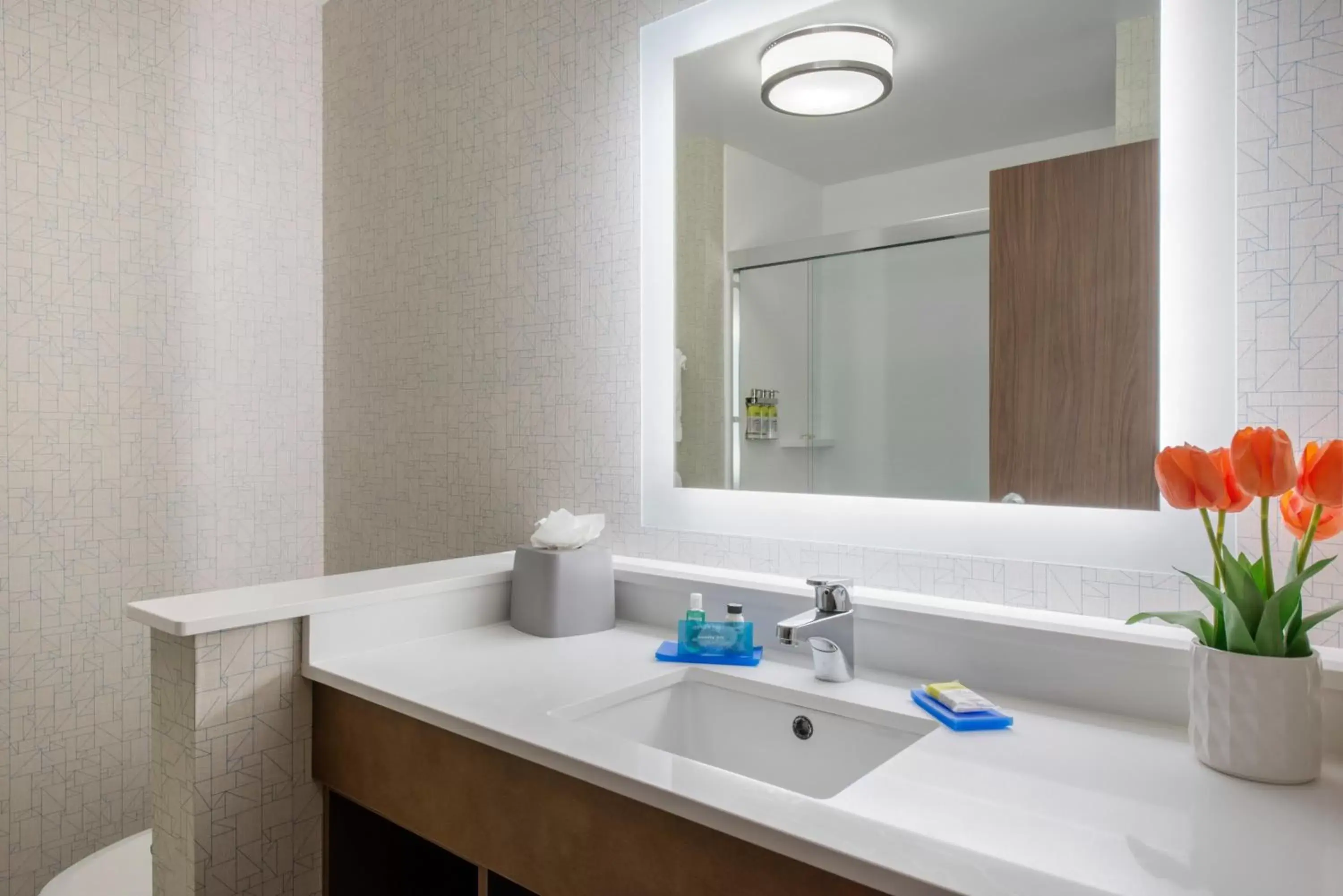 Toilet, Bathroom in Holiday Inn Express & Suites - Moundsville, an IHG Hotel