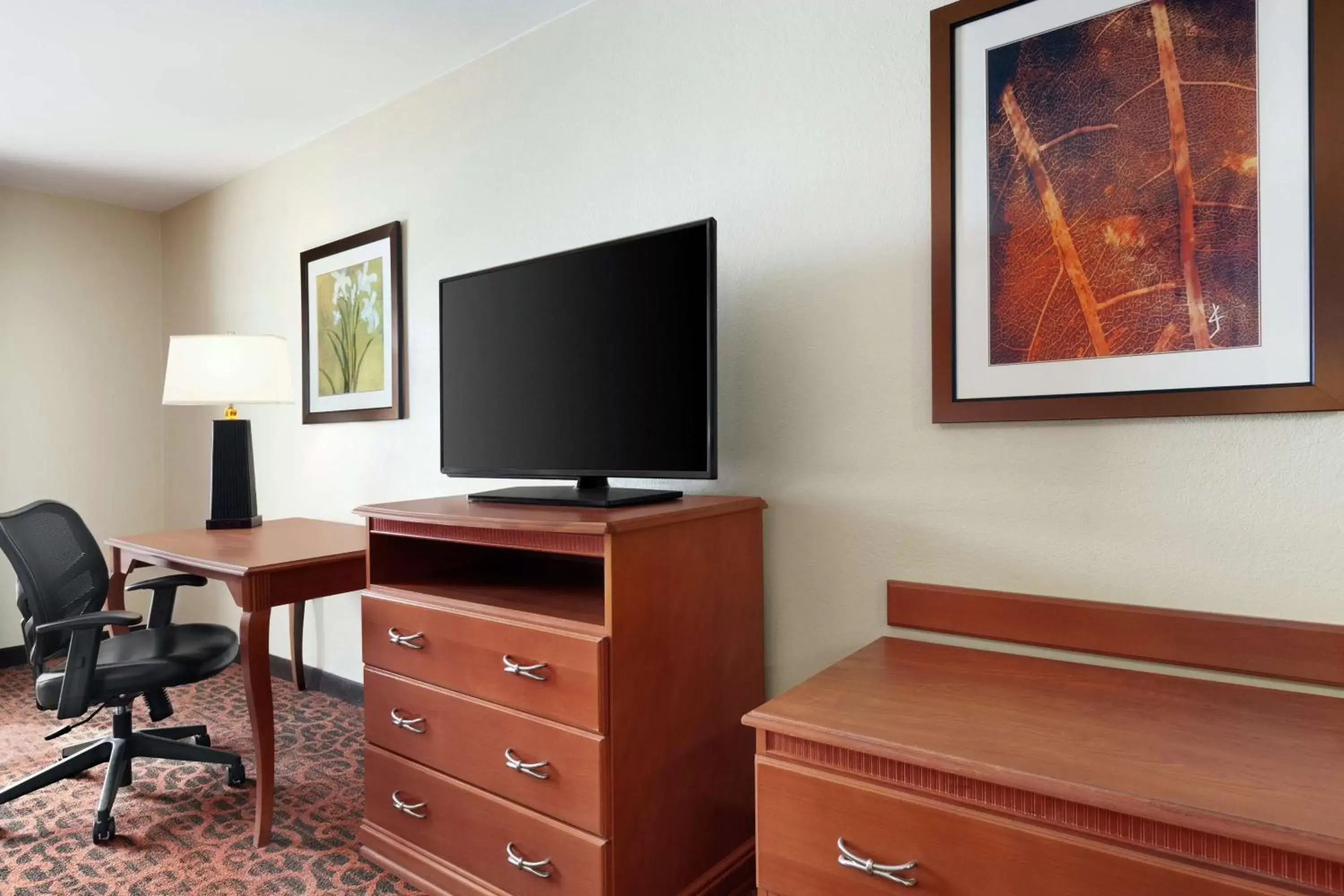 Bedroom, TV/Entertainment Center in Hampton Inn Houston Stafford