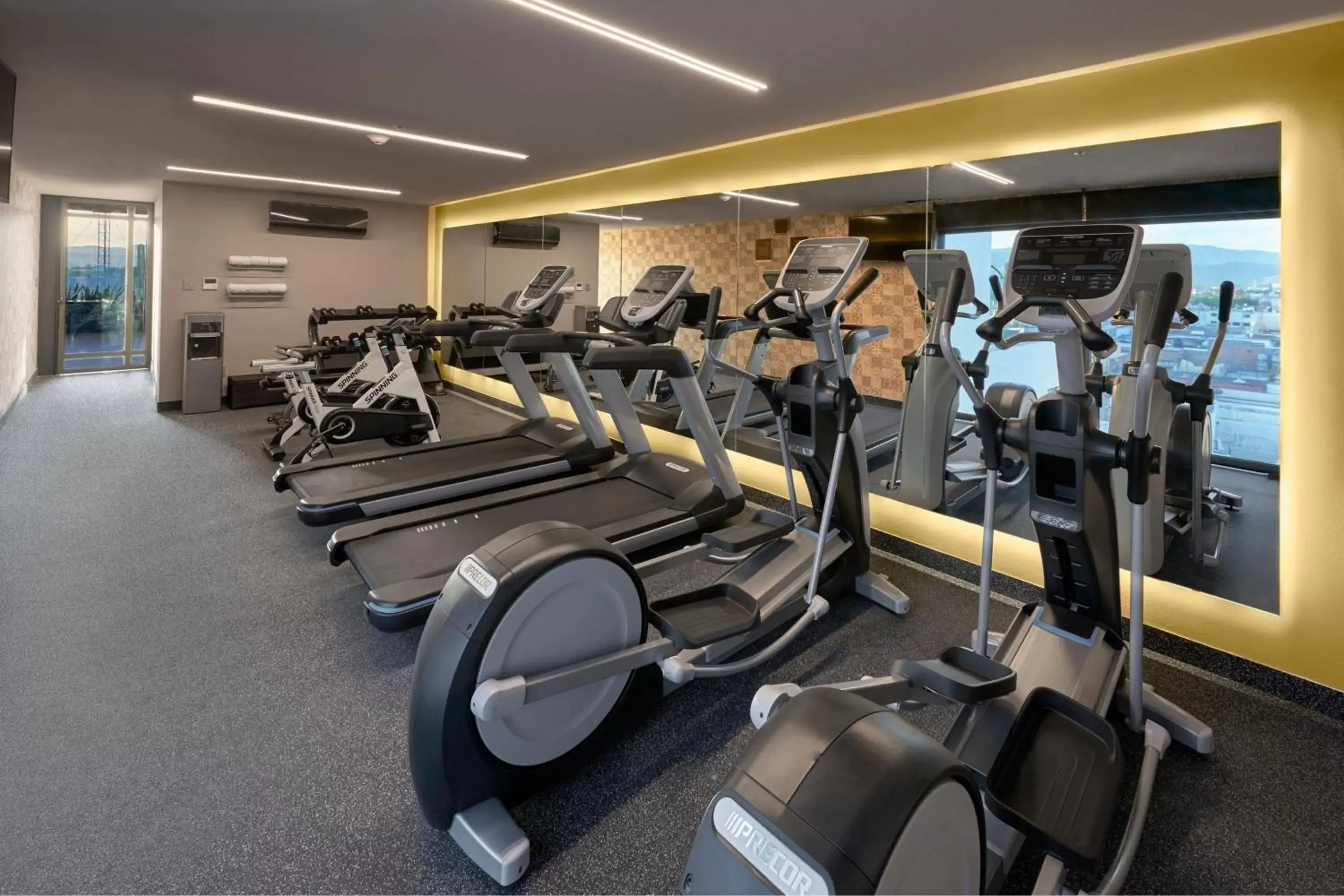 Fitness centre/facilities, Fitness Center/Facilities in City Centro by Marriott San Luis Potosi