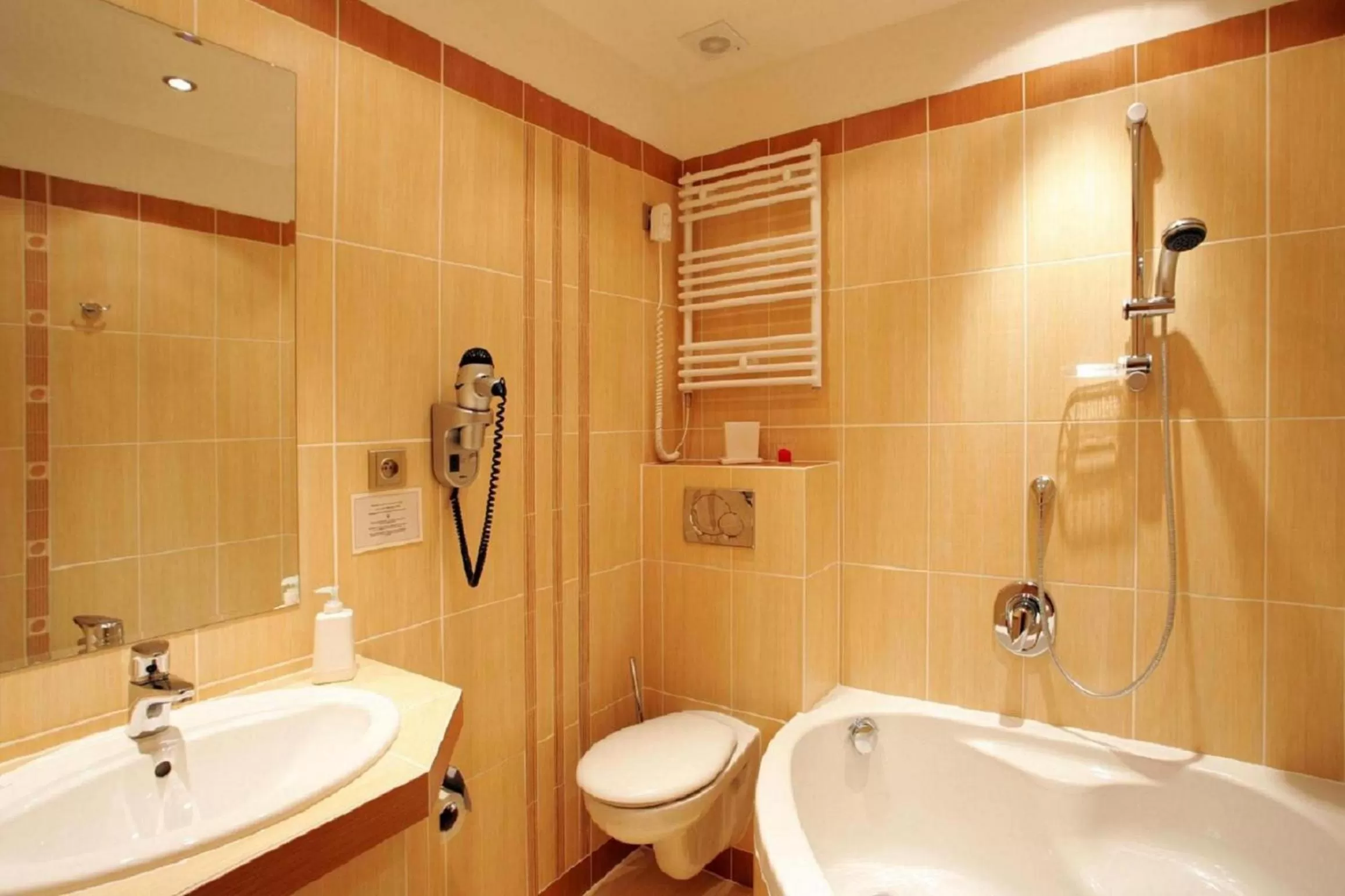 Bathroom in Hotel Roudna