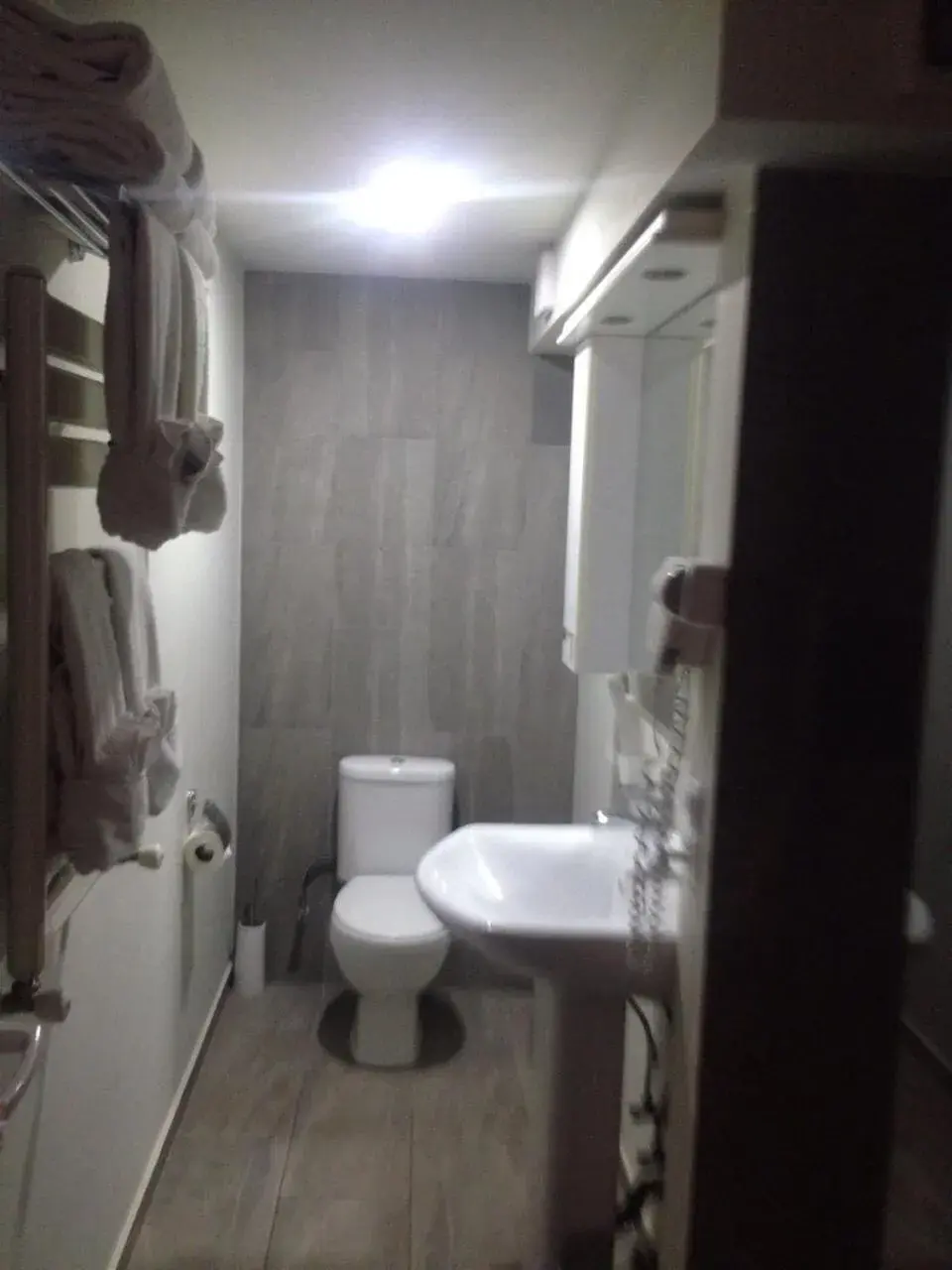 Toilet, Bathroom in Hotel ZP Palace