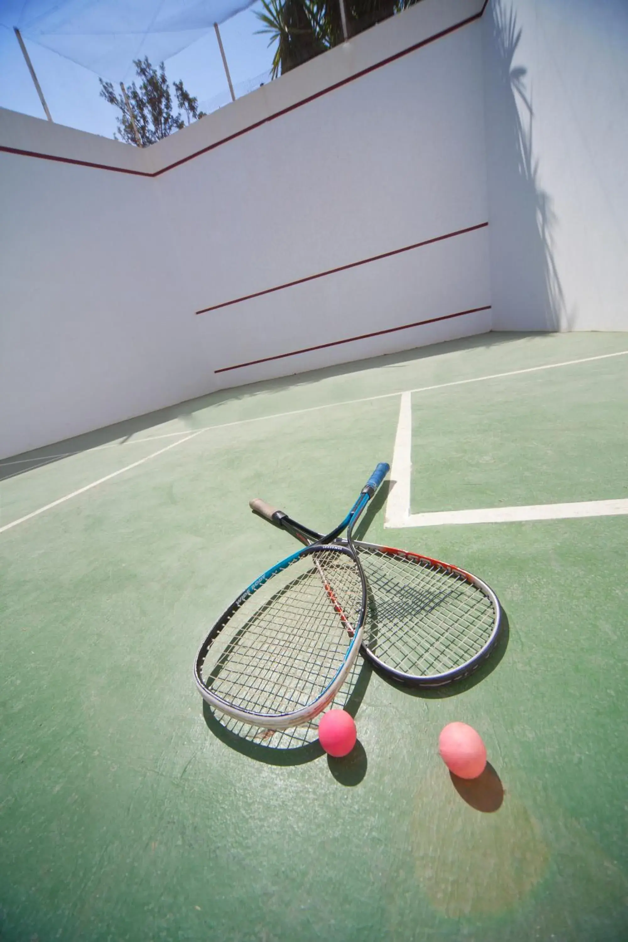 Squash, Other Activities in Js Cape Colom - Adults Only