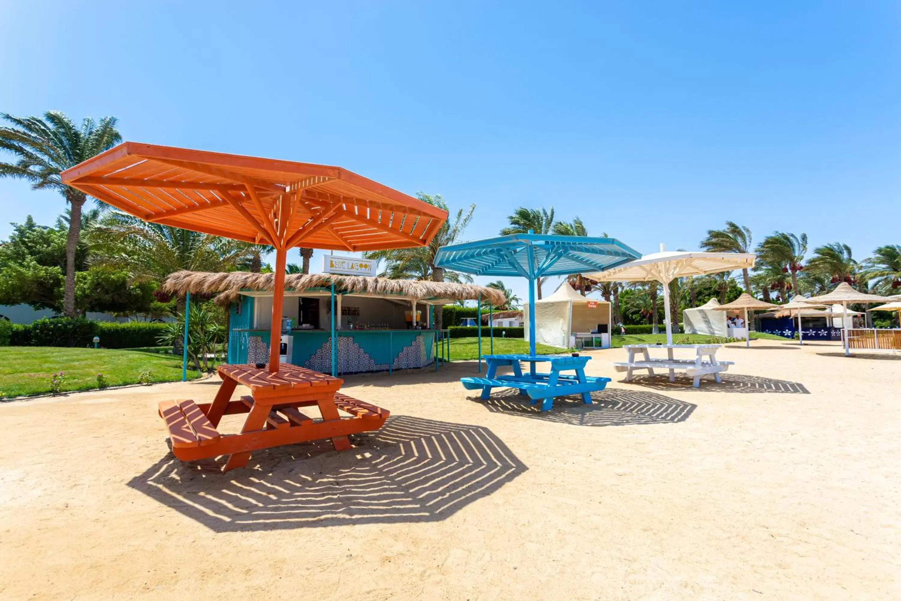 Lounge or bar, Beach in Desert Rose Resort