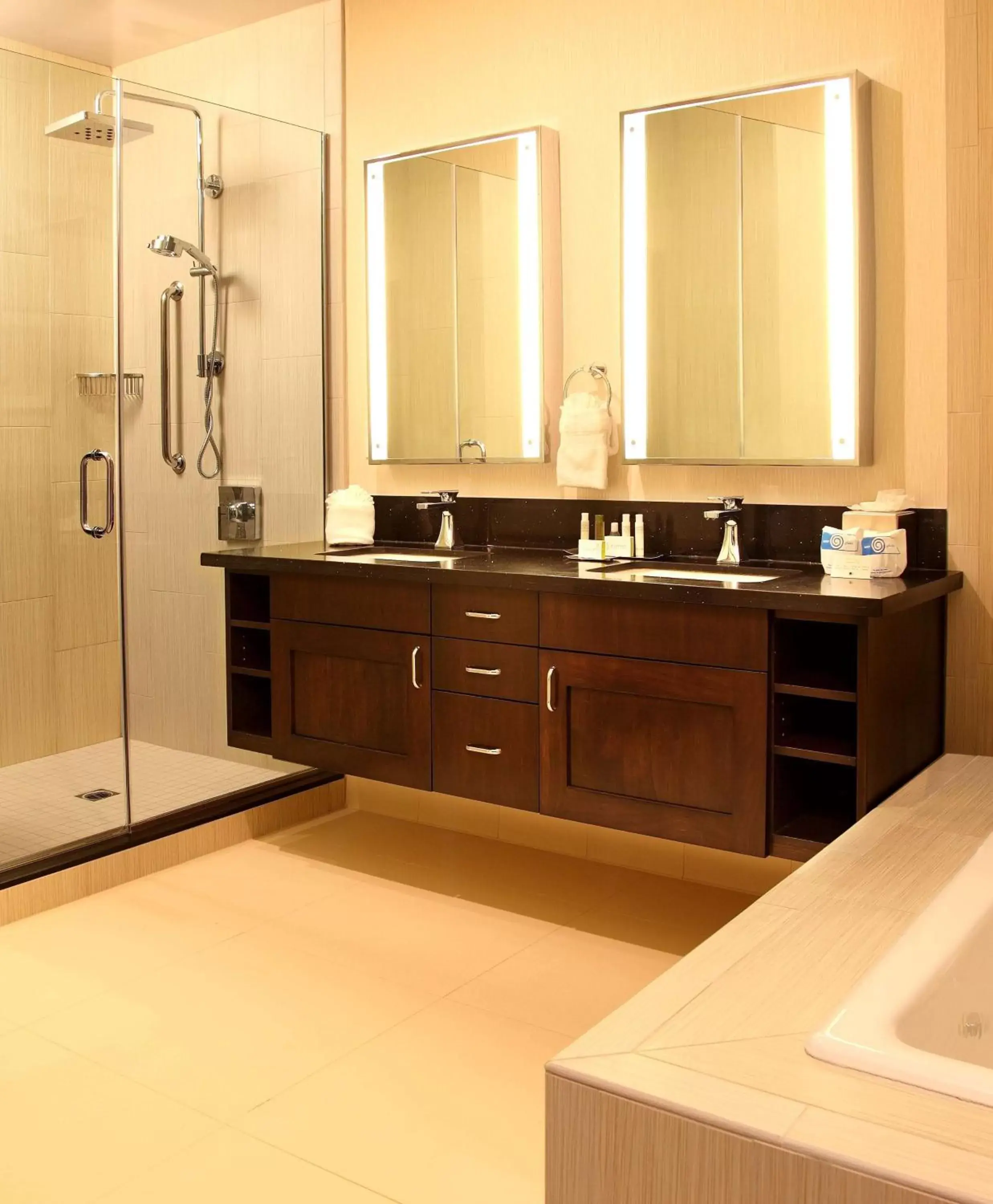 Bathroom in DoubleTree by Hilton Claremont