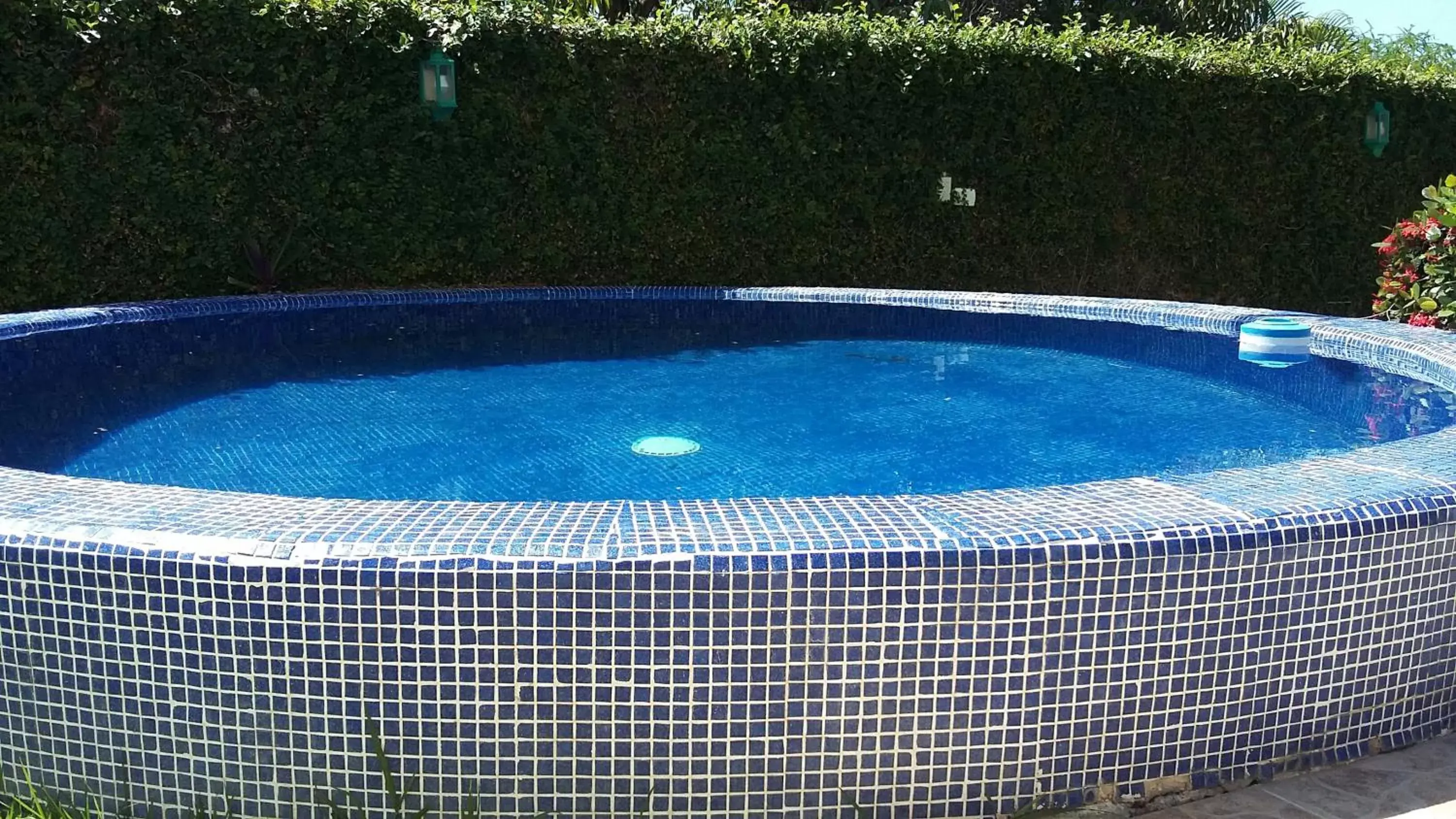 Swimming Pool in Delfin B&B