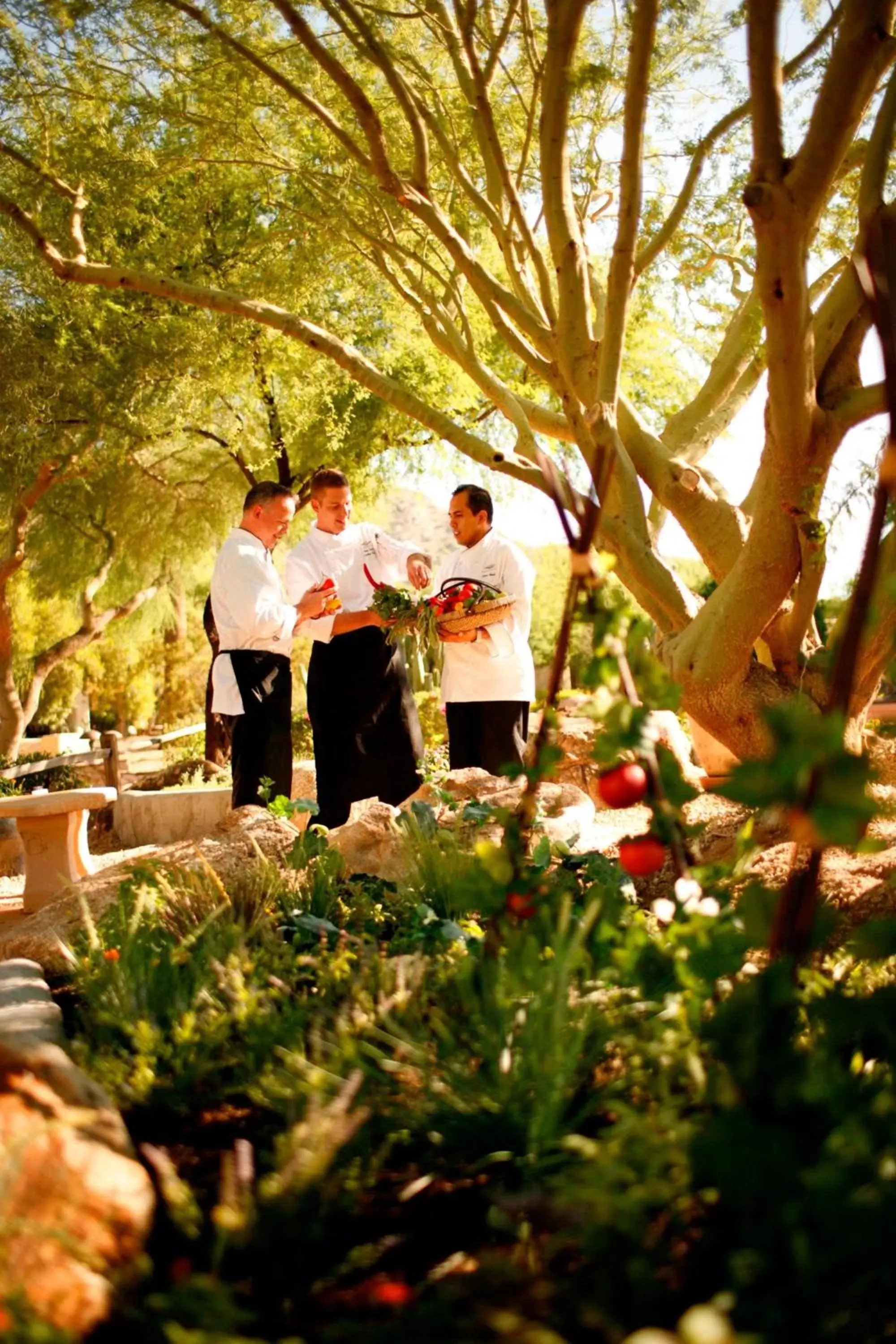 Restaurant/places to eat, Property Building in JW Marriott Scottsdale Camelback Inn Resort & Spa