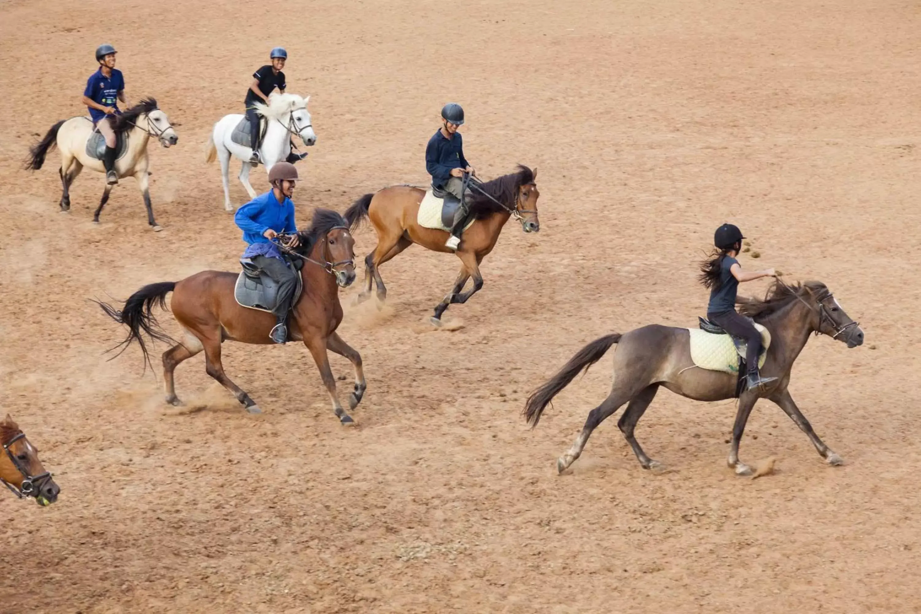 Horse-riding, Horseback Riding in Cambodian Country Club