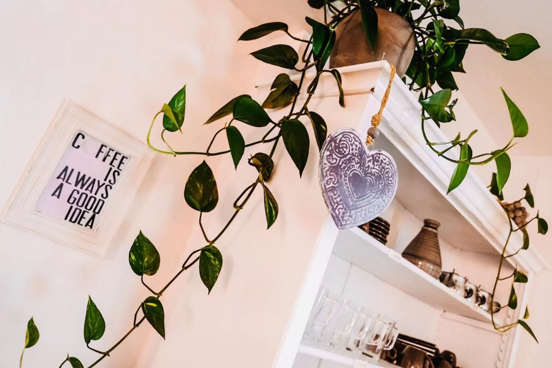 Food and drinks in Hacienda Rooms