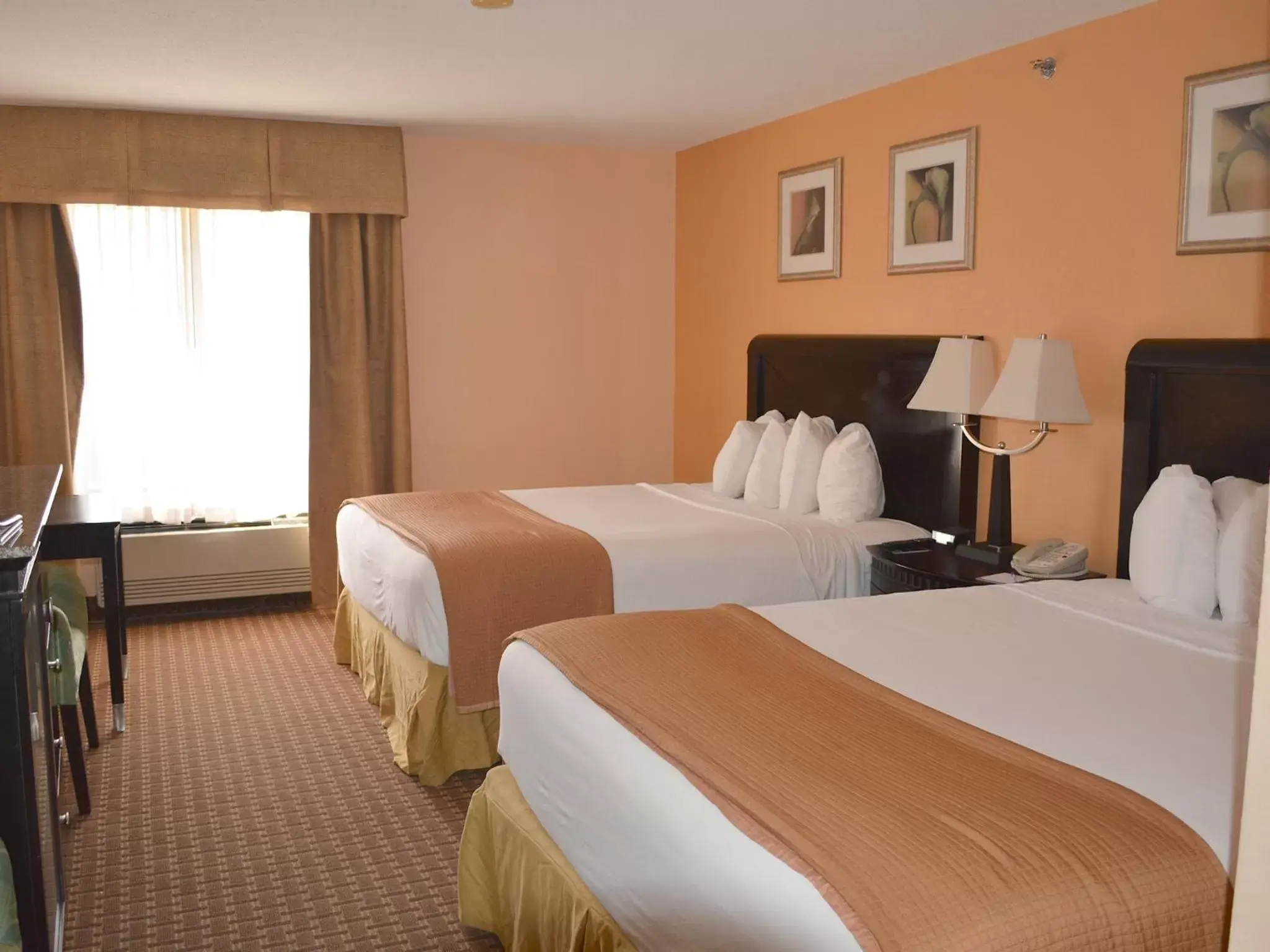 Photo of the whole room, Bed in Baymont by Wyndham East Windsor Bradley Airport