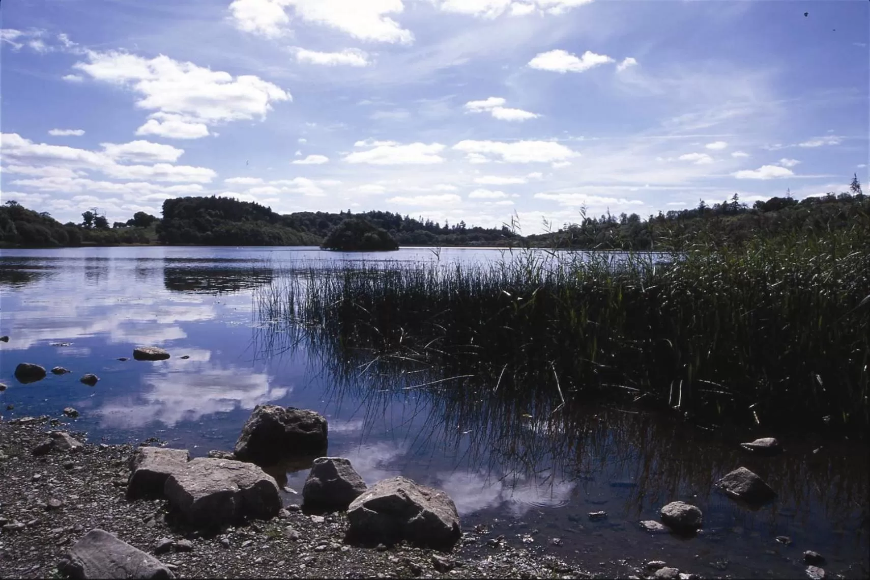 Natural landscape in Farnham Estate Spa and Golf Resort
