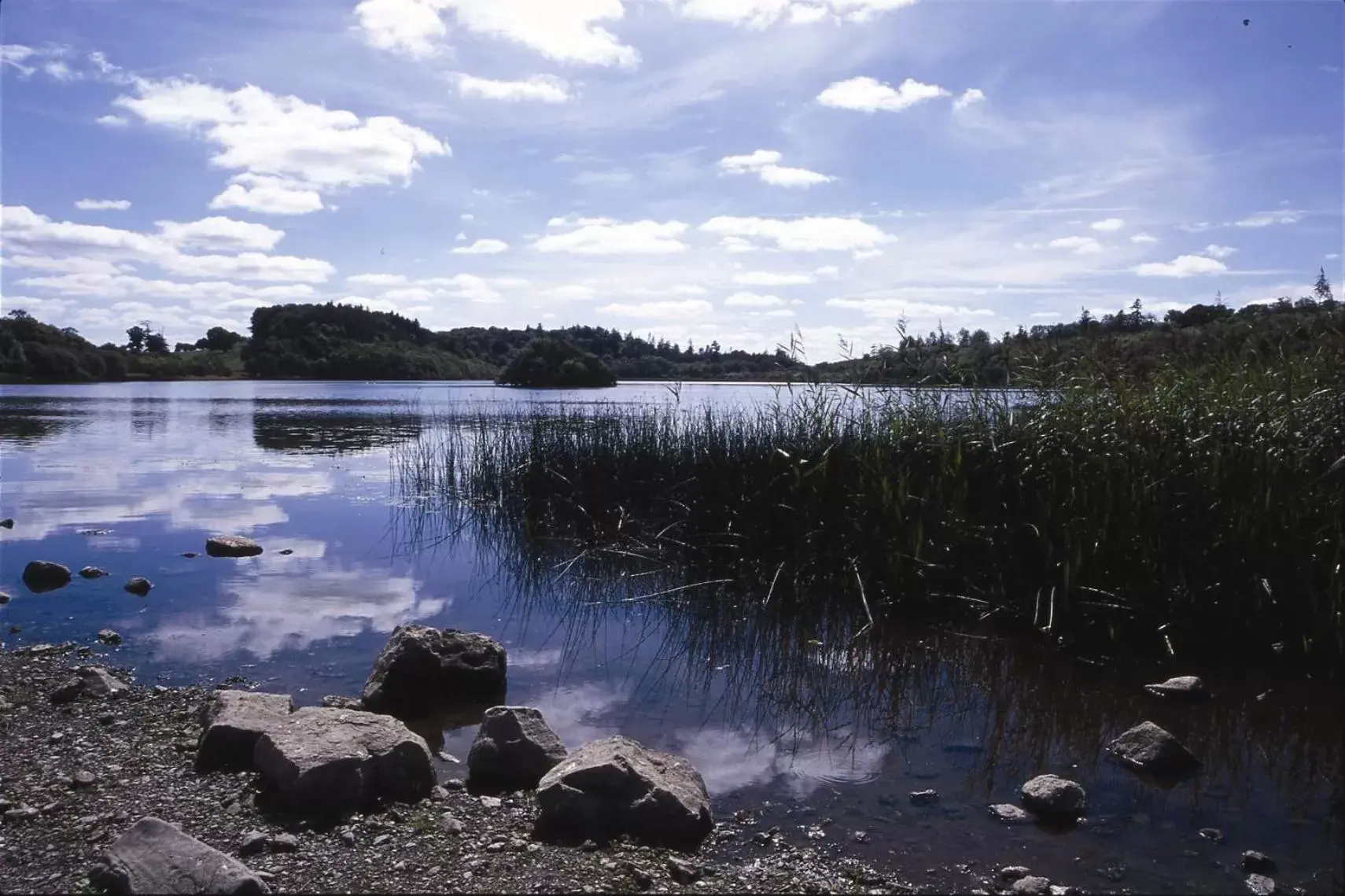 Natural landscape in Farnham Estate Spa and Golf Resort