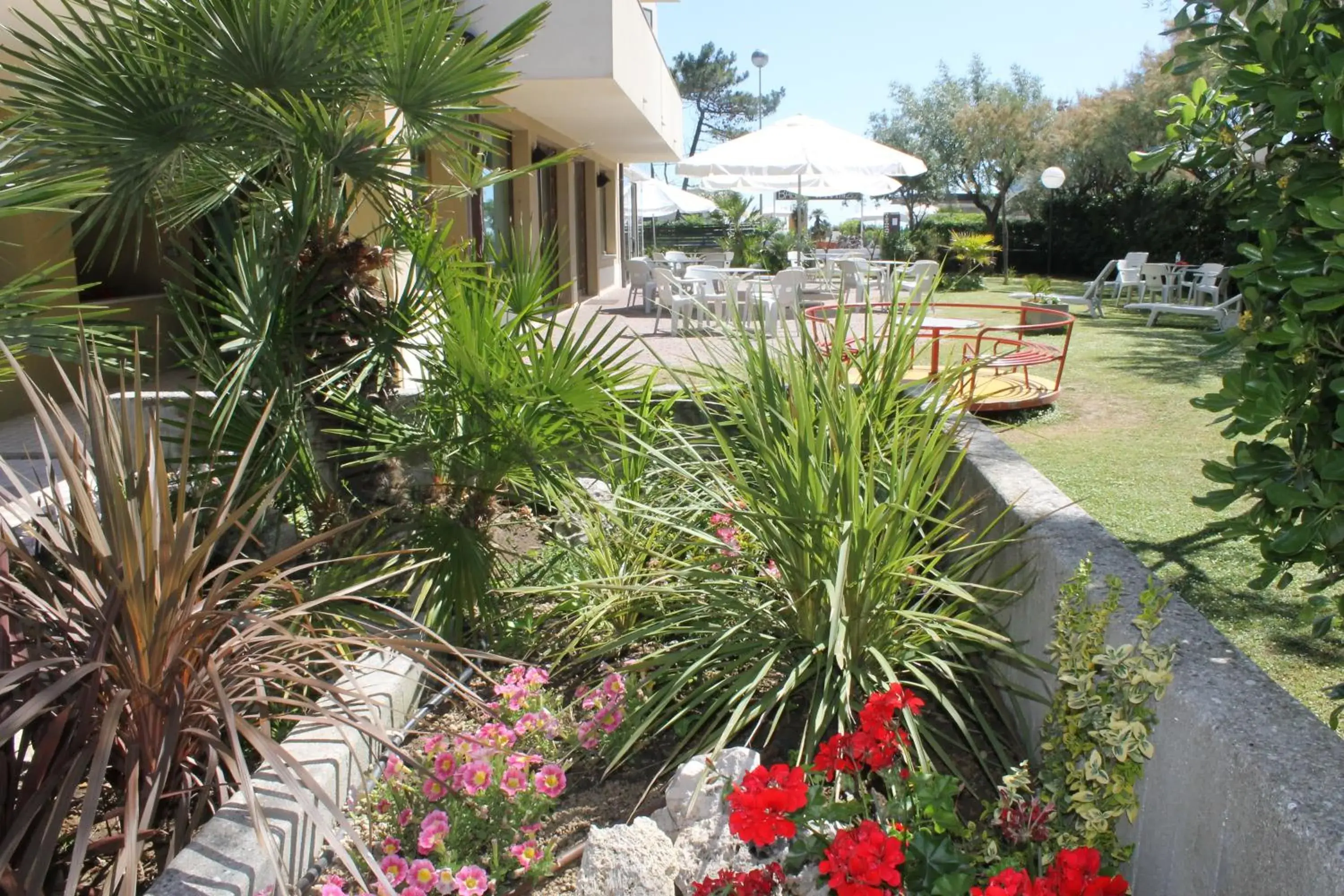 Garden in Hotel Astor