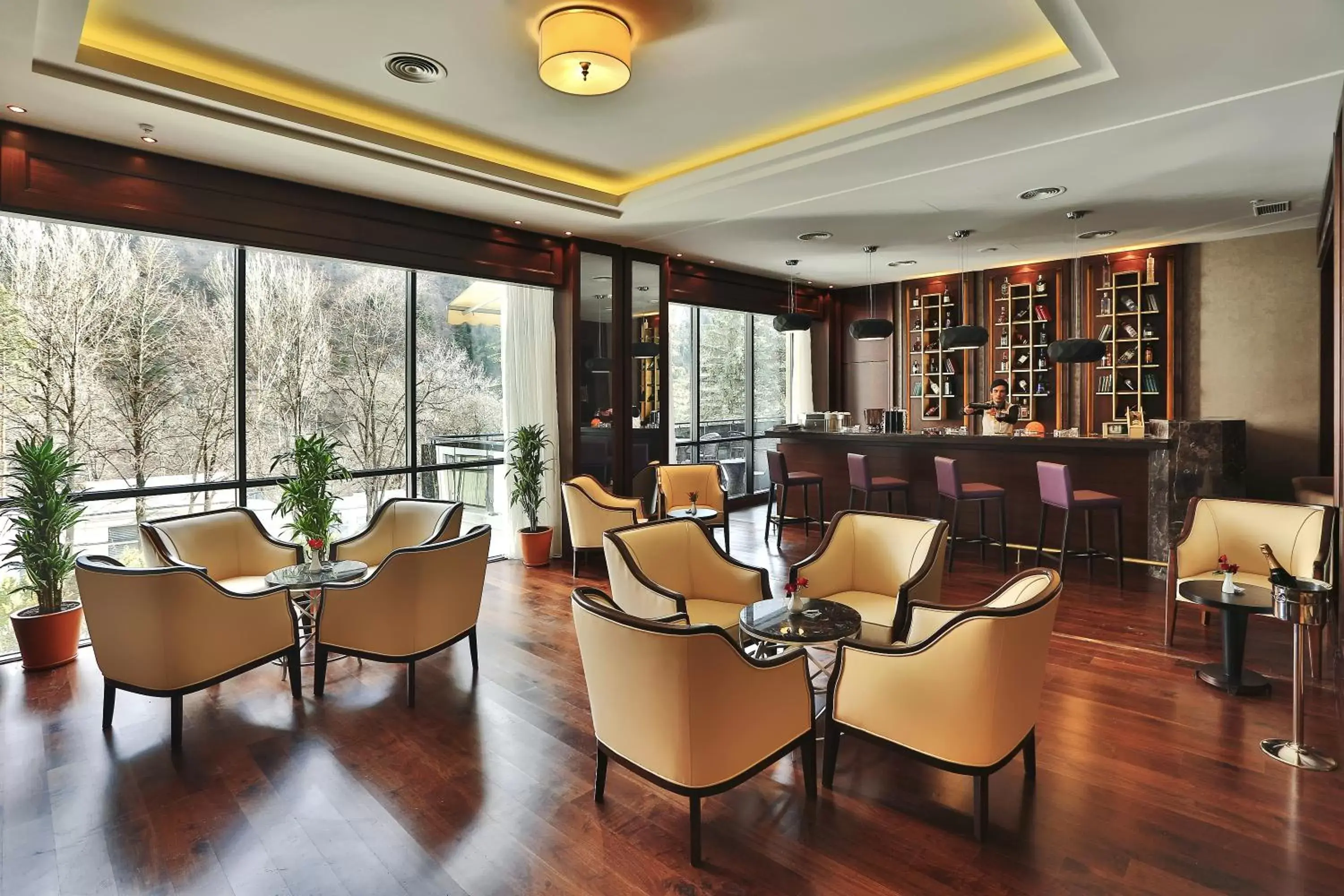 Lounge or bar in Borjomi Likani Health & Spa Centre
