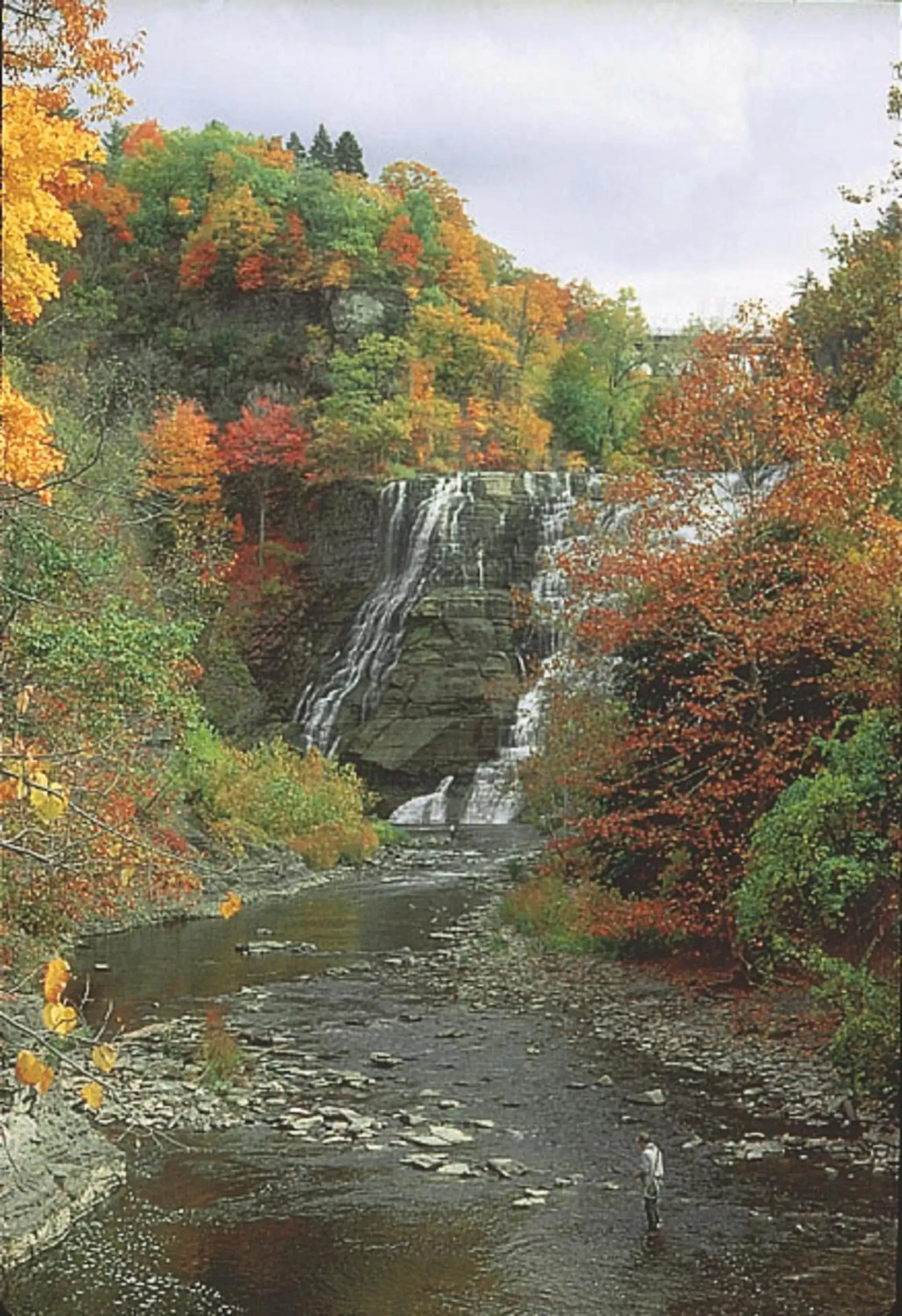 Area and facilities, Natural Landscape in Meadow Court Inn - Ithaca