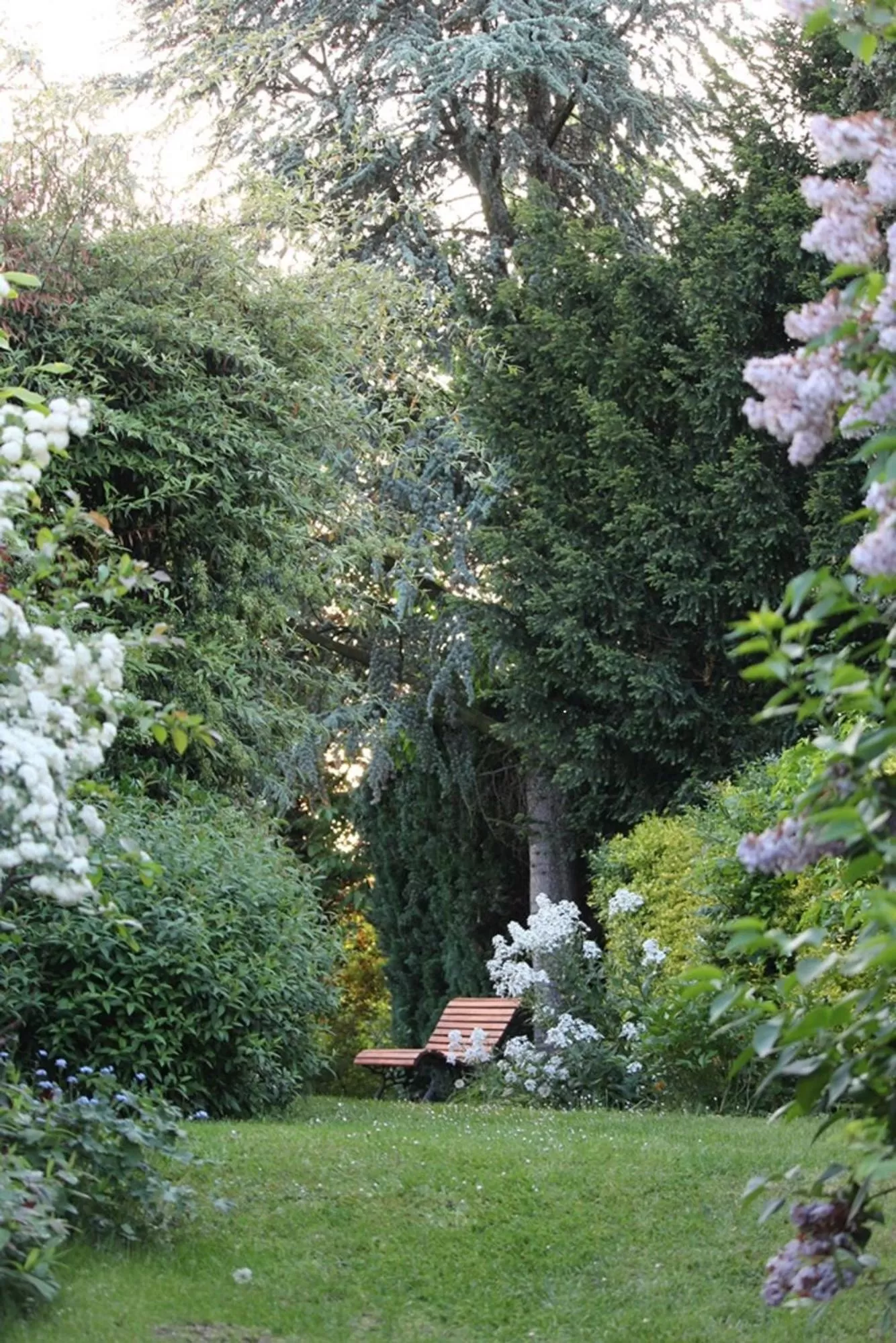 Garden in W'allons nous dormir