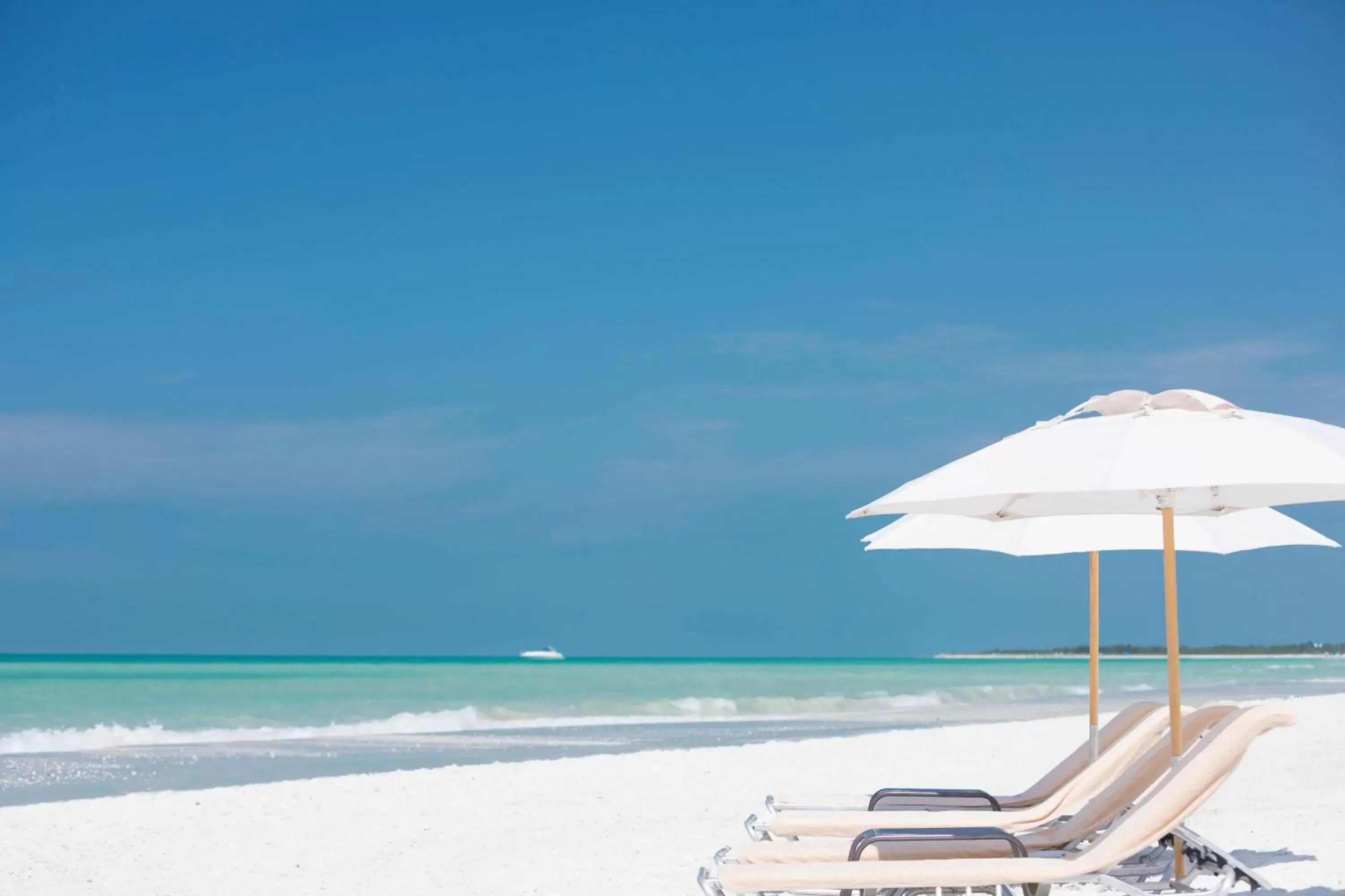 Beach in JW Marriott Marco Island Beach Resort