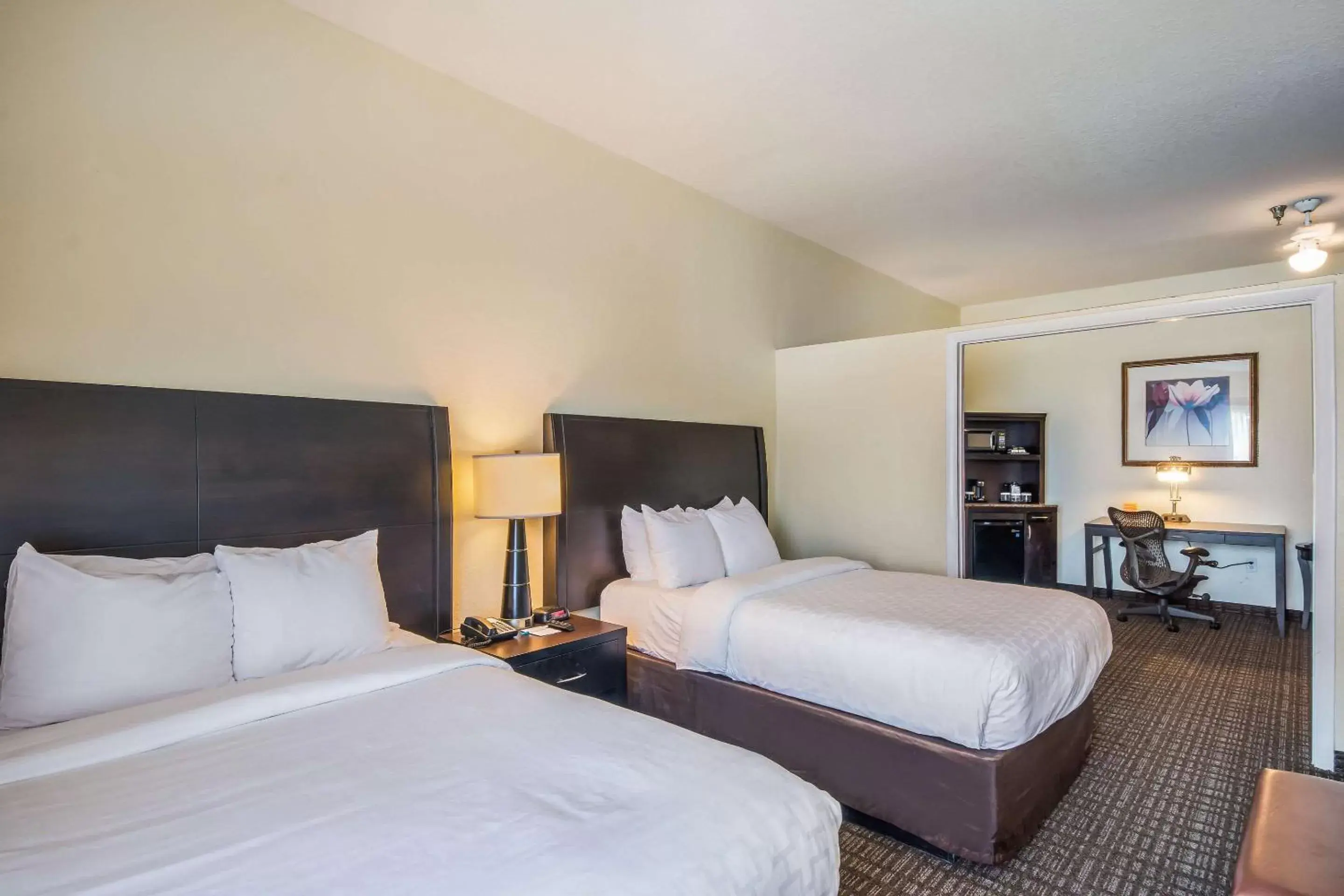 Photo of the whole room, Bed in Clarion Inn & Suites Central Clearwater Beach