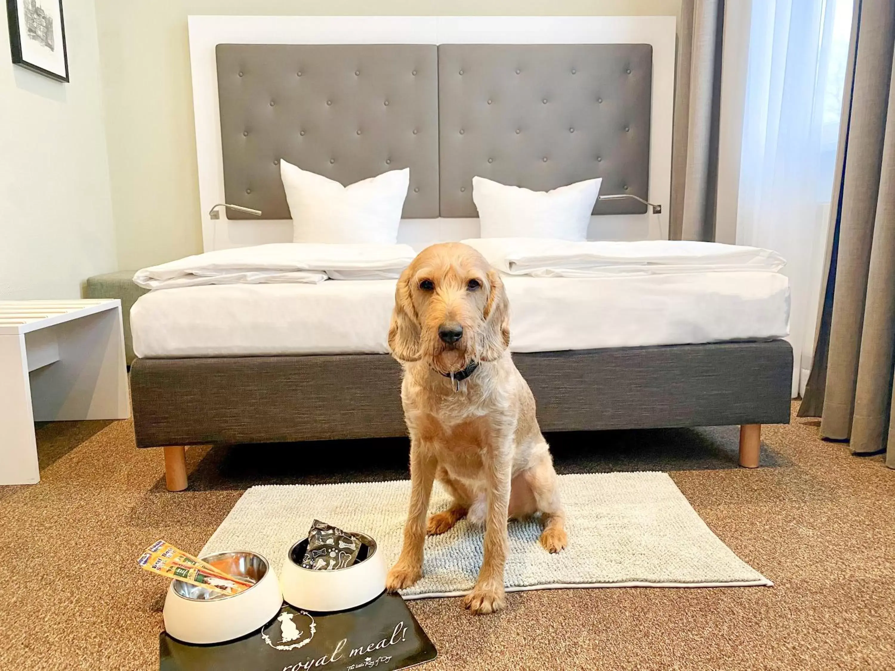 Pets, Bed in Hotel am Schlosspark