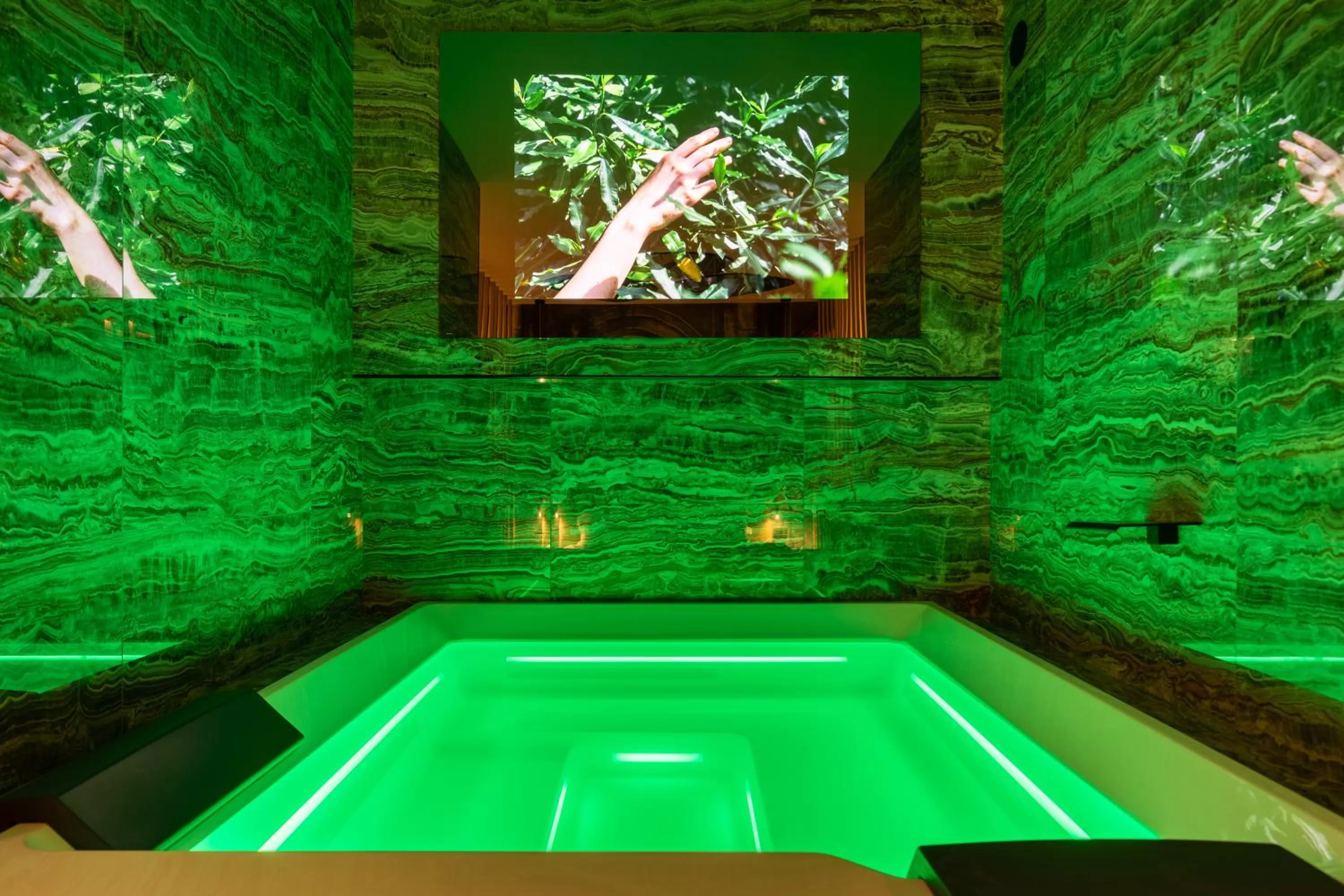 Hot Tub, Swimming Pool in Aquasuite