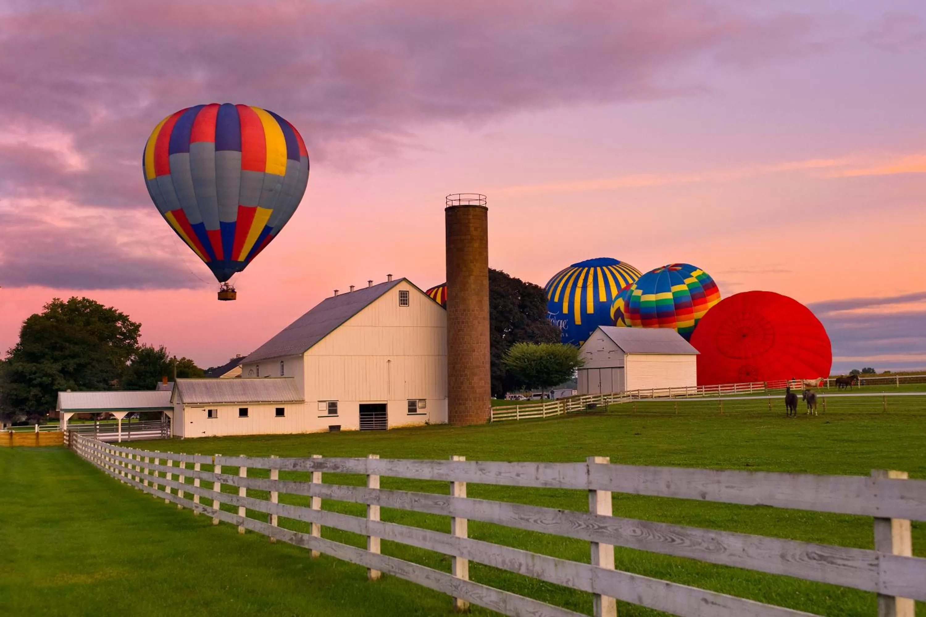 Area and facilities in Bird-in-Hand Family Inn