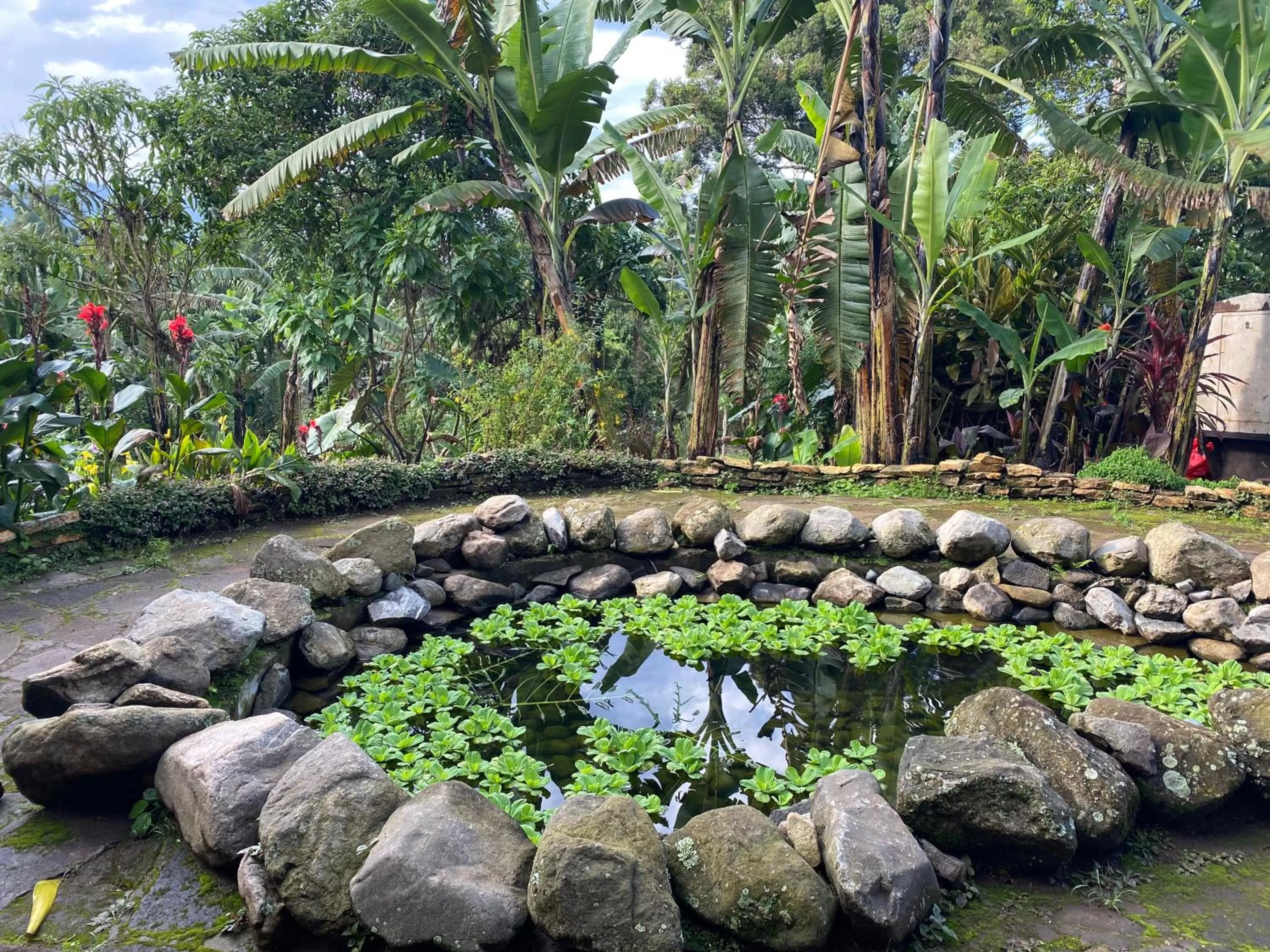 Garden in Koi Koi, Fort Portal