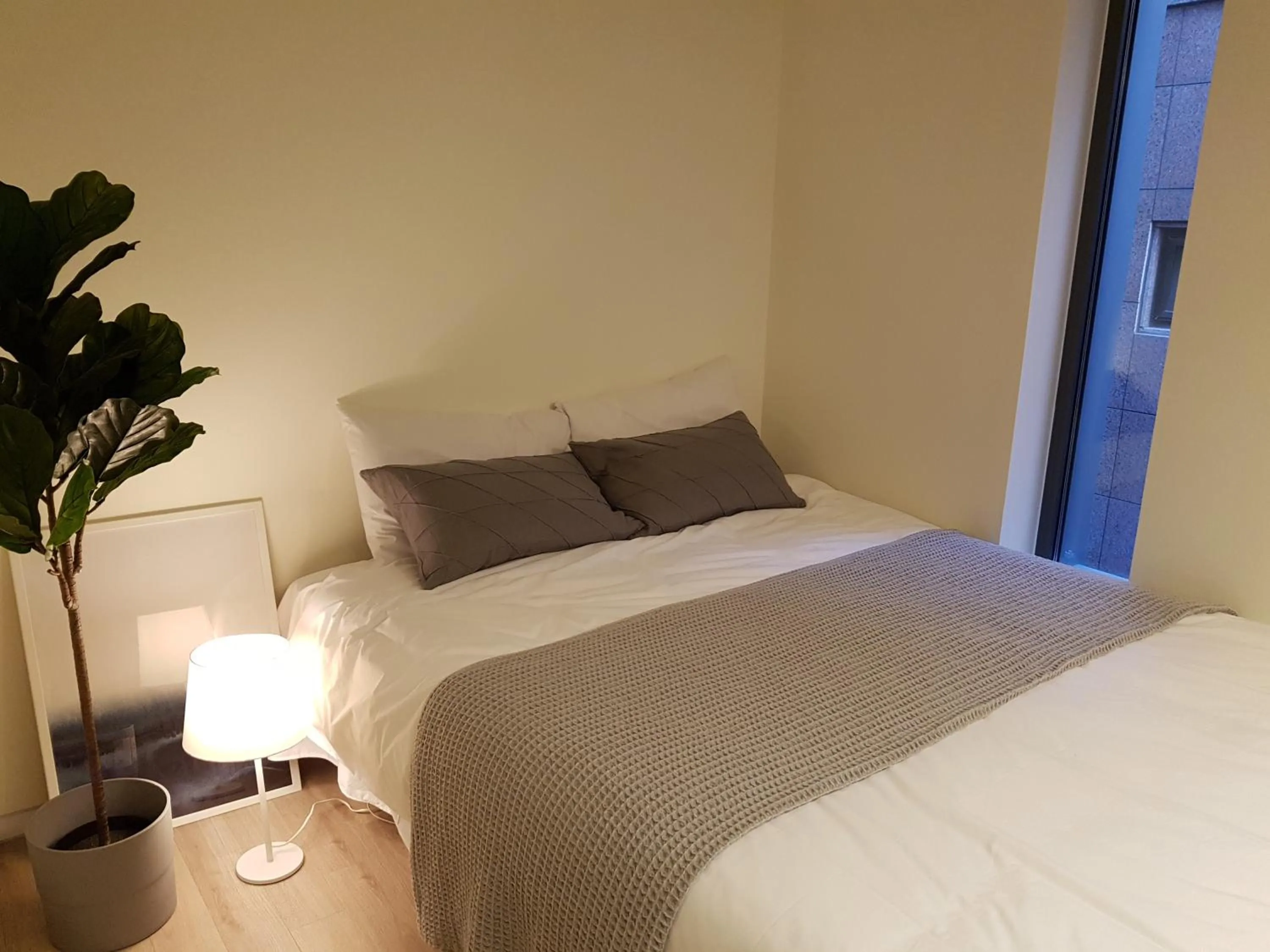 Bed in DW STAY HONGDAE