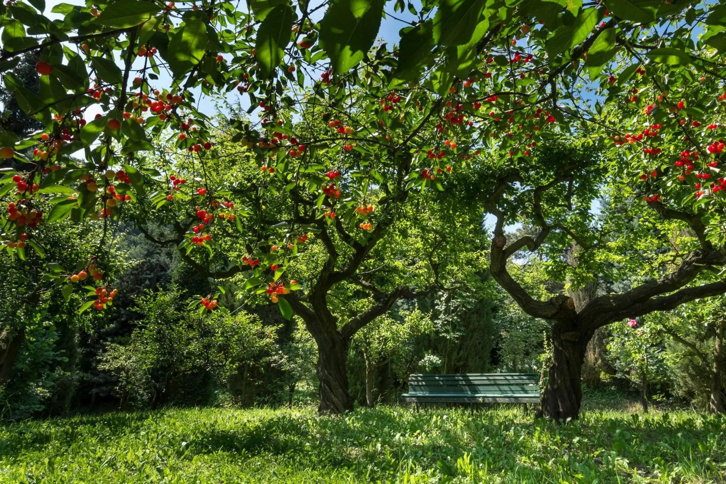 Property building, Garden in Sotto I Sassi