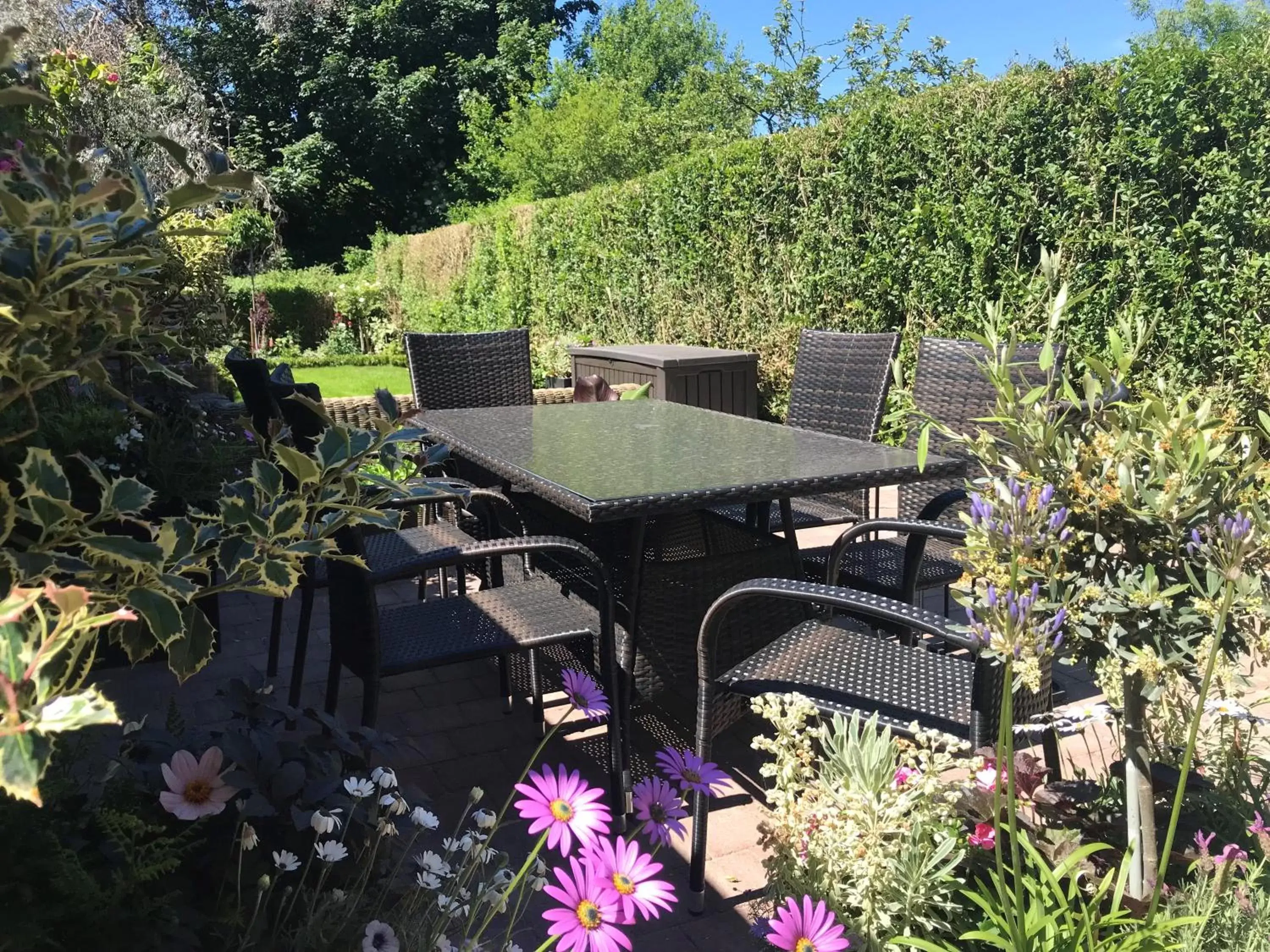 Garden, Bird's-eye View in The Plough, Scalby