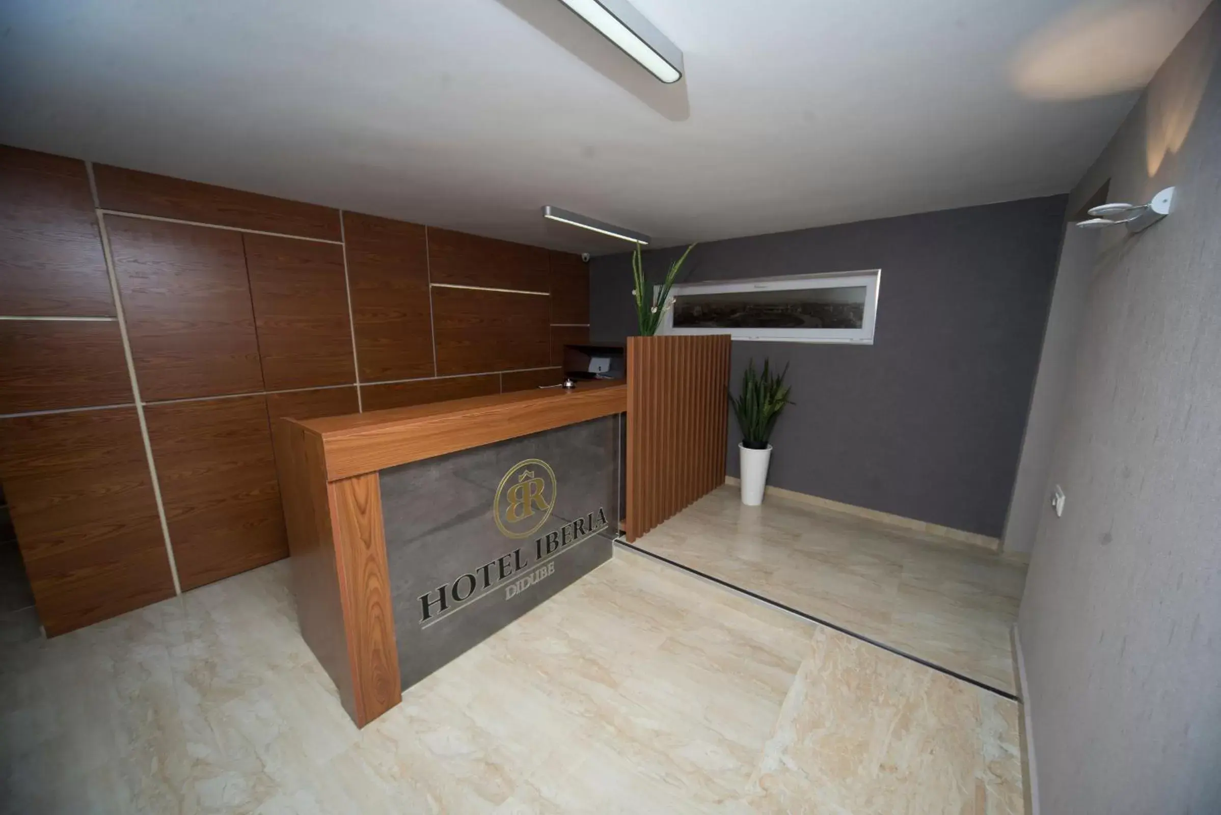 Lobby or reception in Iberia Didube Lobby or reception in Iberia Didube